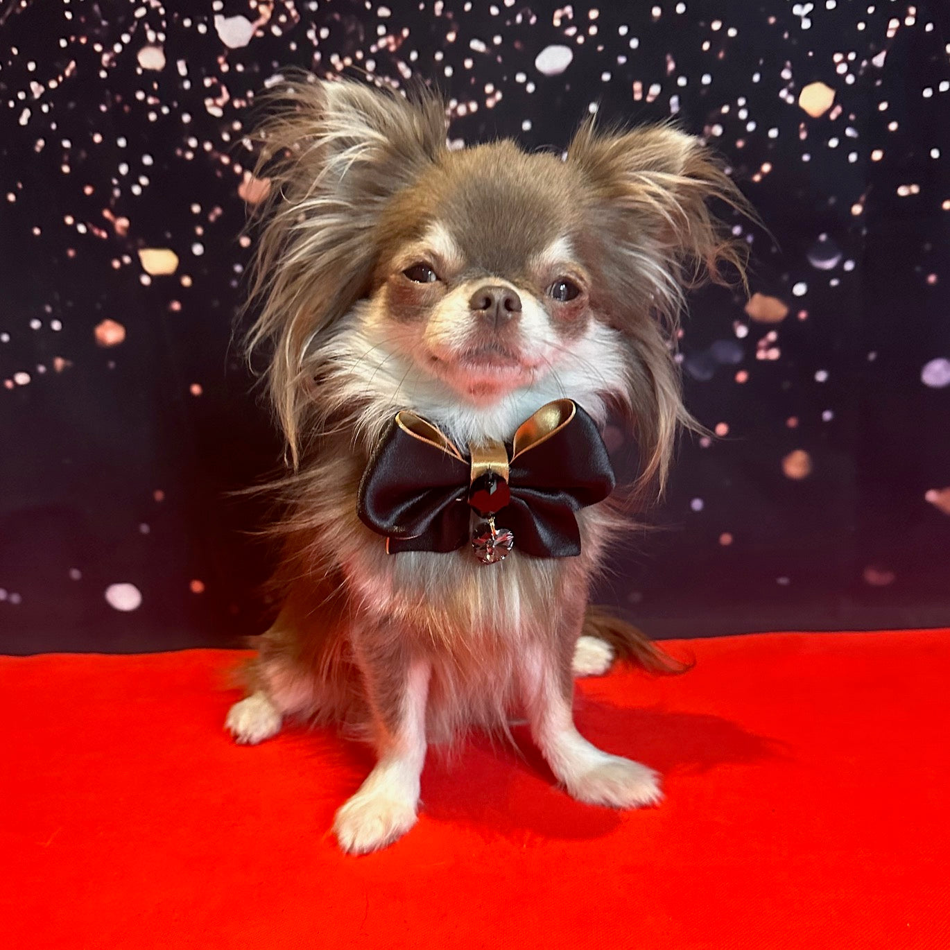 The Oscars Clara Bow, Petite