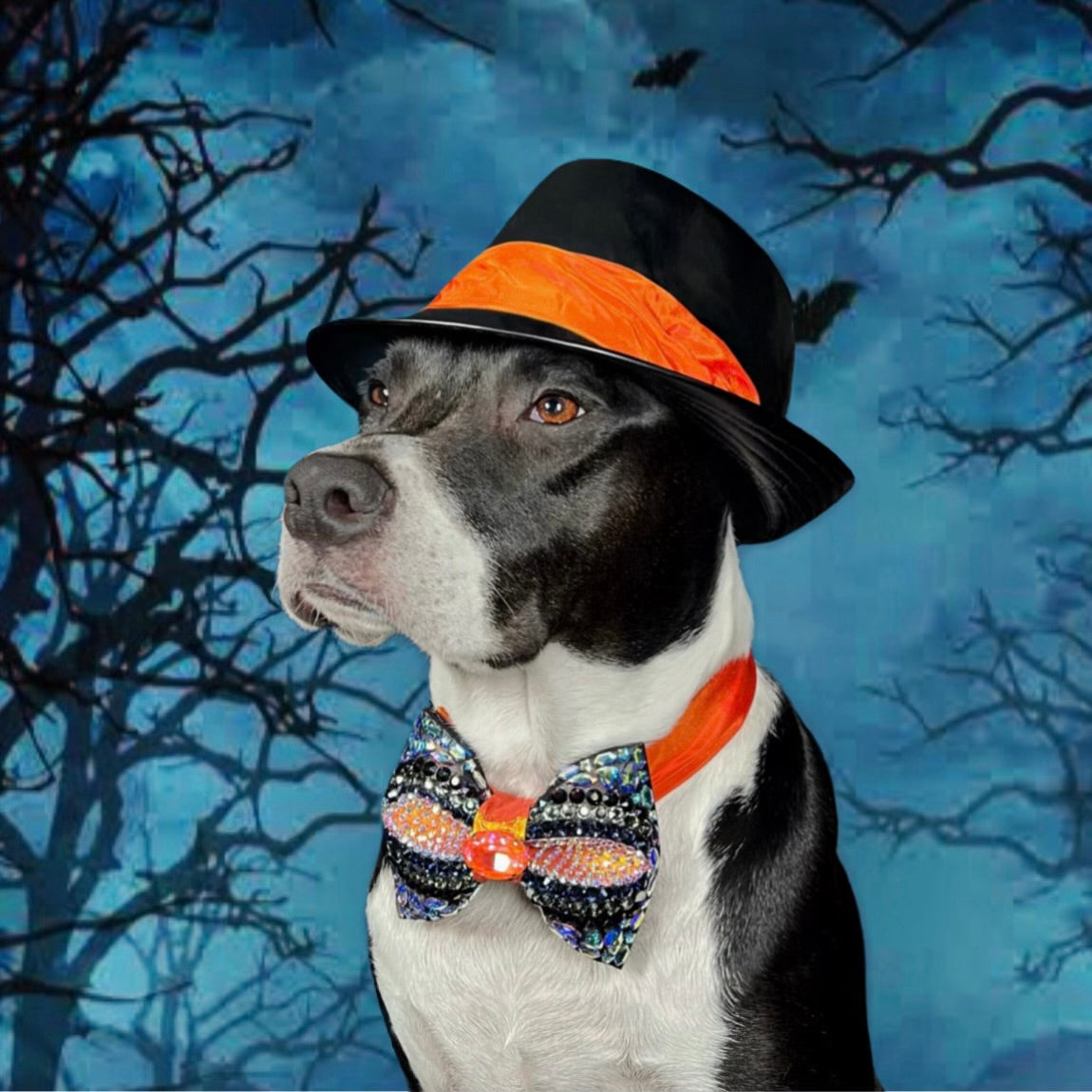 Spooktacular 2025