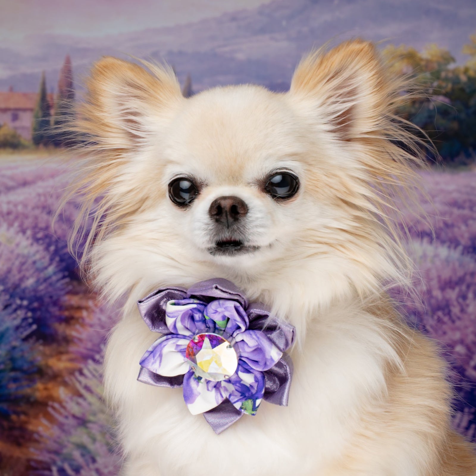 Dog Flower Accessories