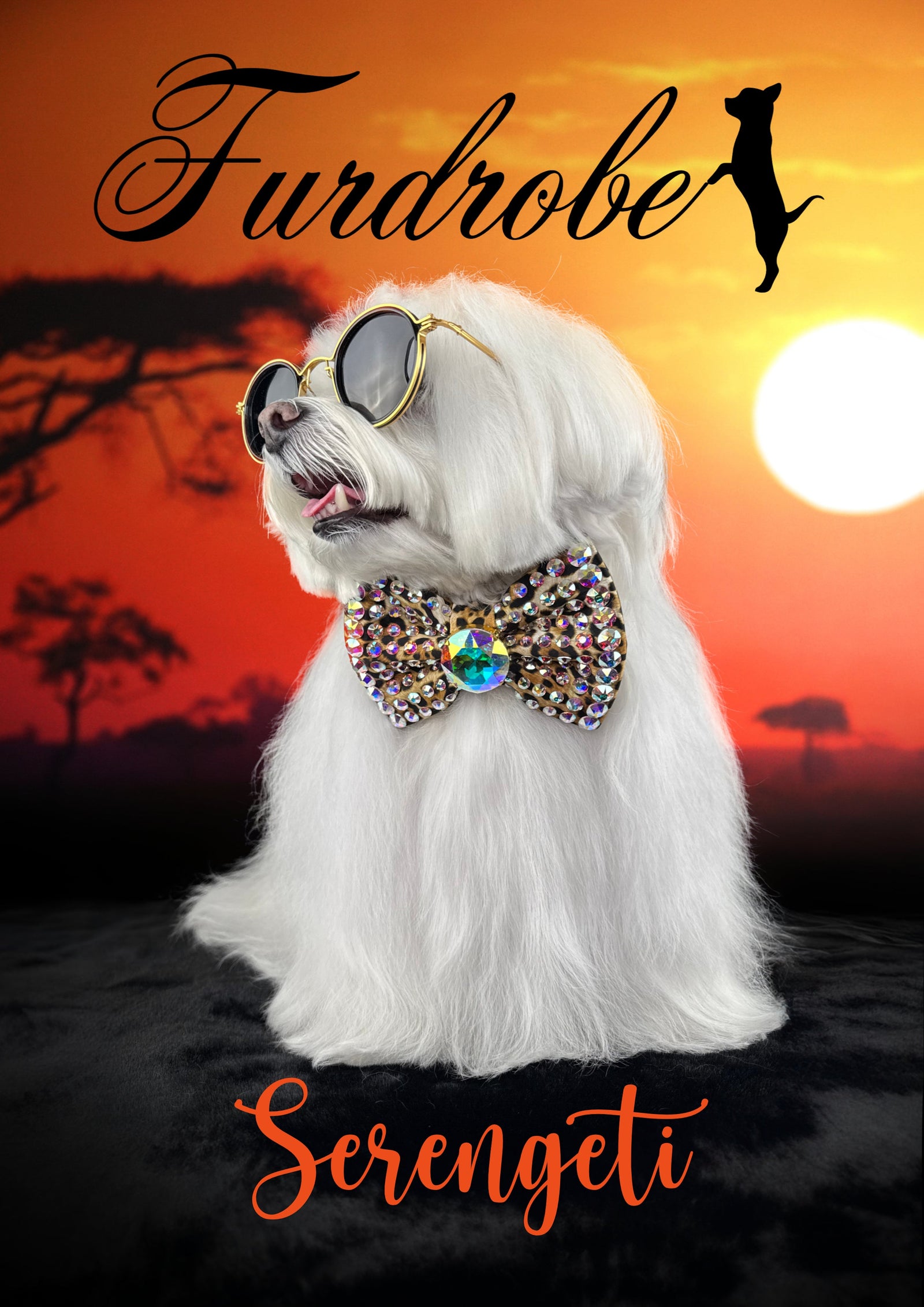 The Serengeti Collection