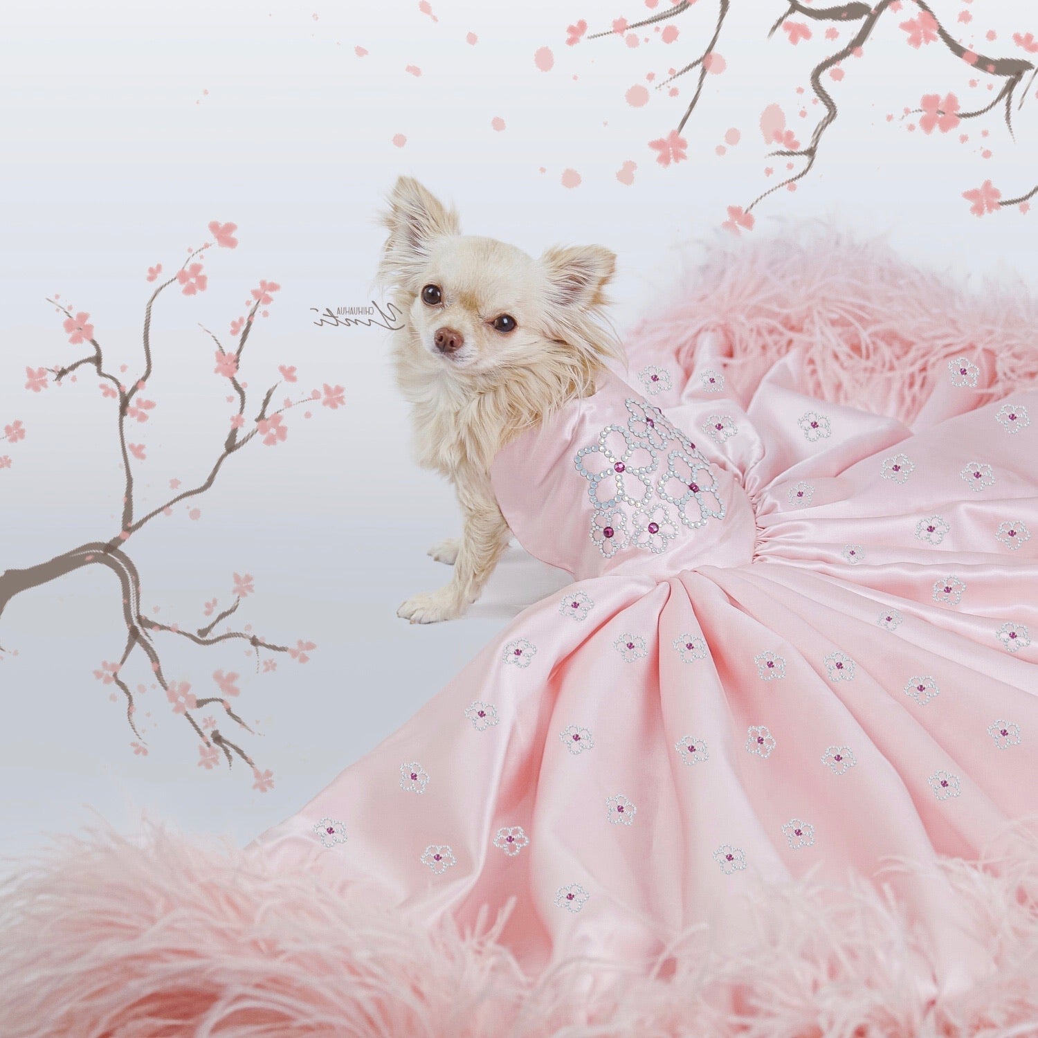 Dog Dresses