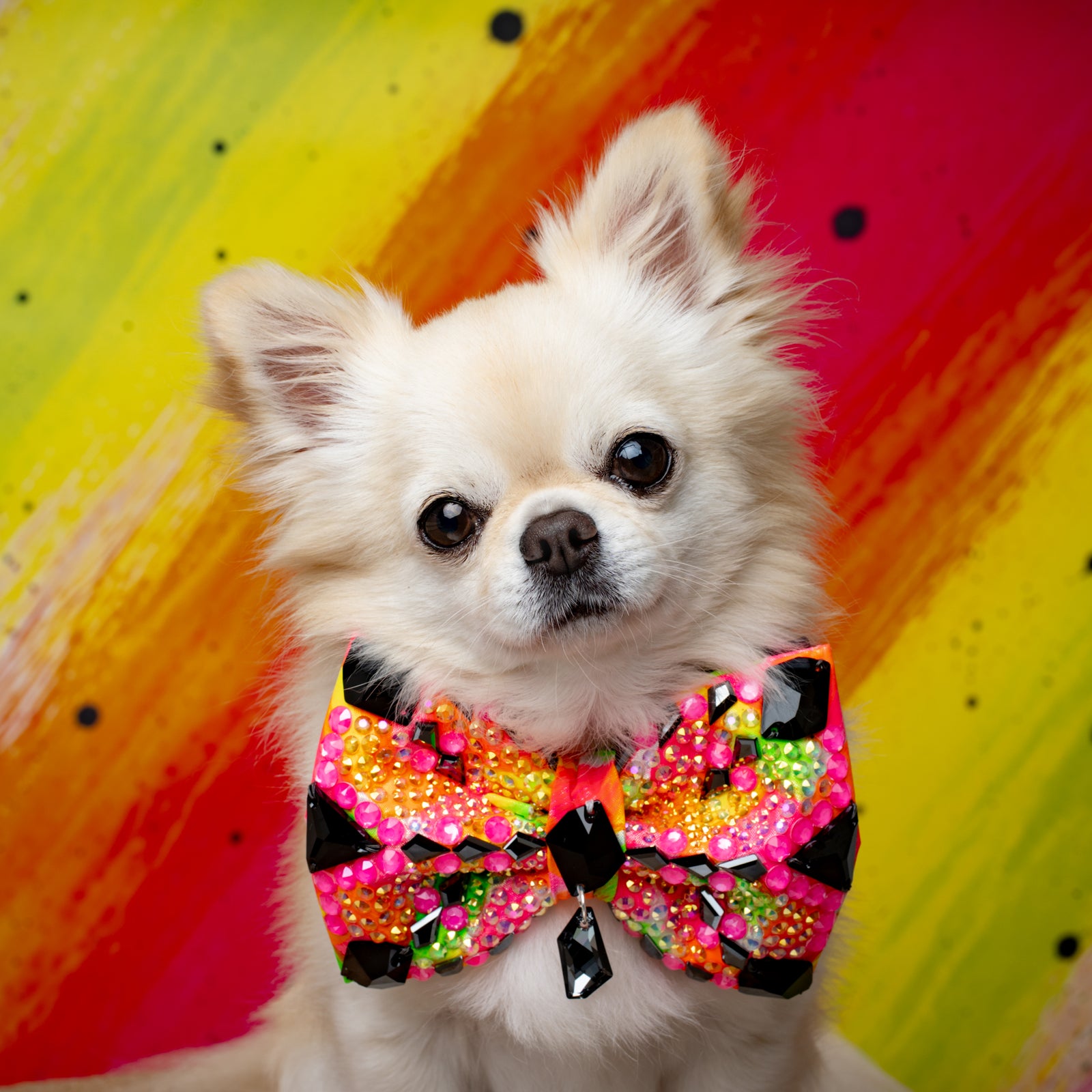 Neon Noir VIP Gizmo Bow, Medium