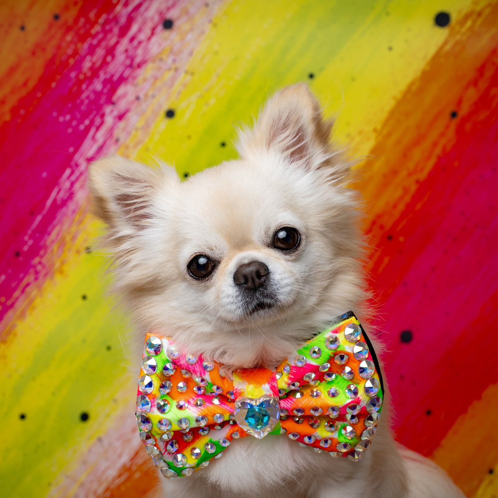 Neon Noir VIP Monarch Bow, Neon, Medium