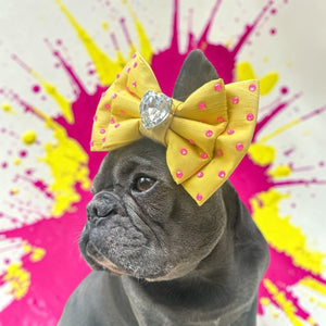 Marni Silk Puppy Love Bow, Medium