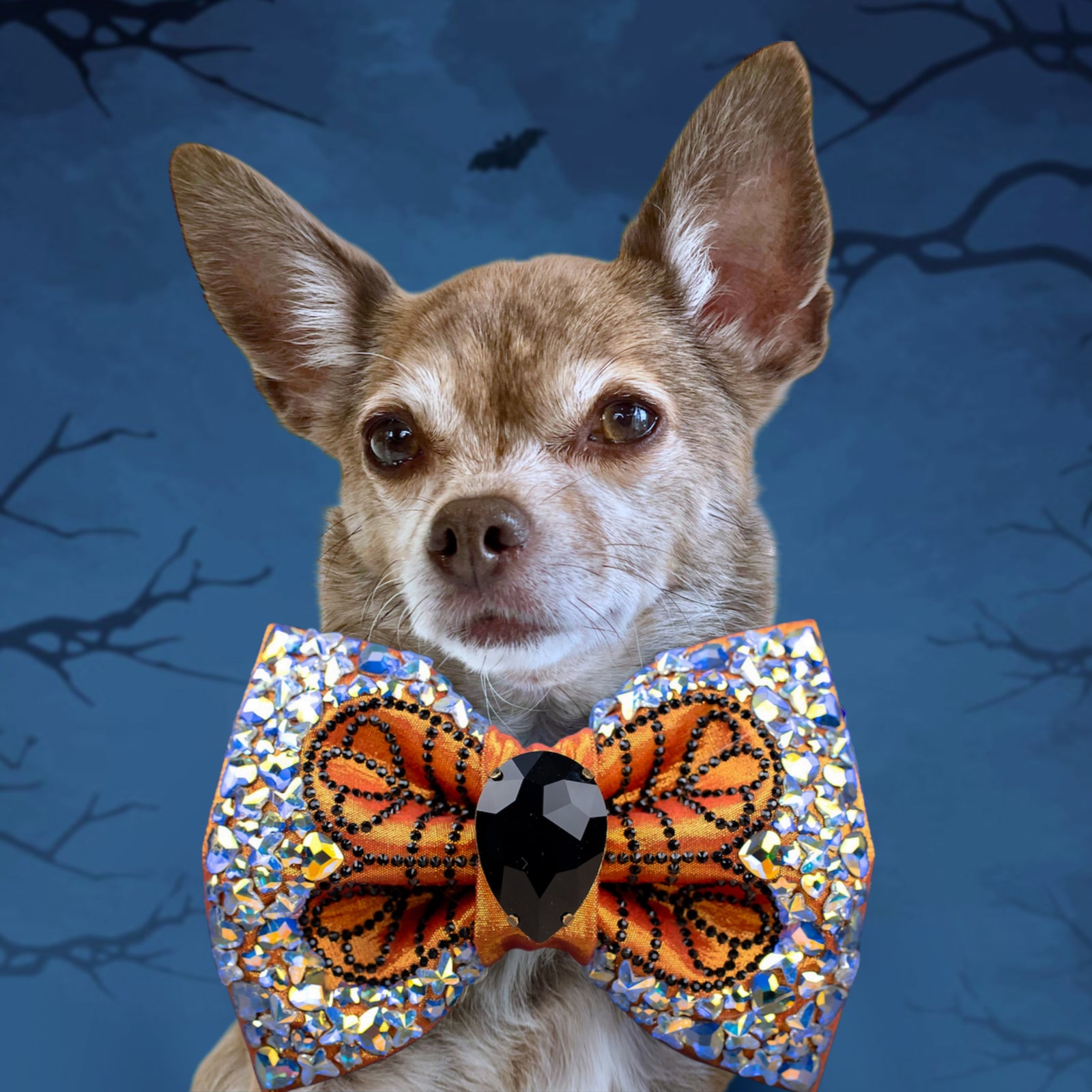 Spooktacular 2025 VIP Bella Bellina Medium