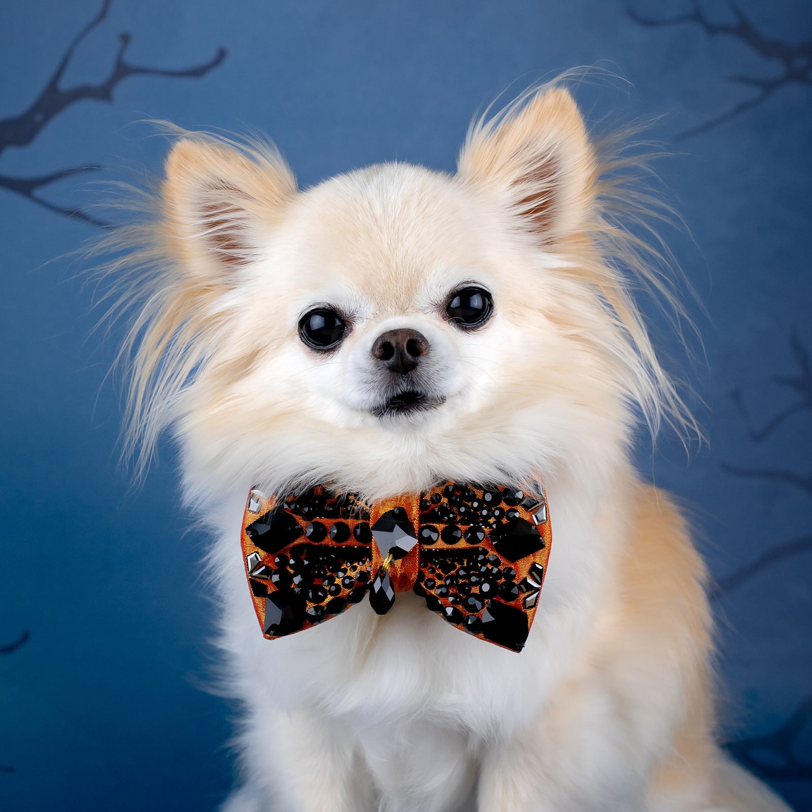 Spooktacular 2025 VIP Black Diamond Bow, Petite