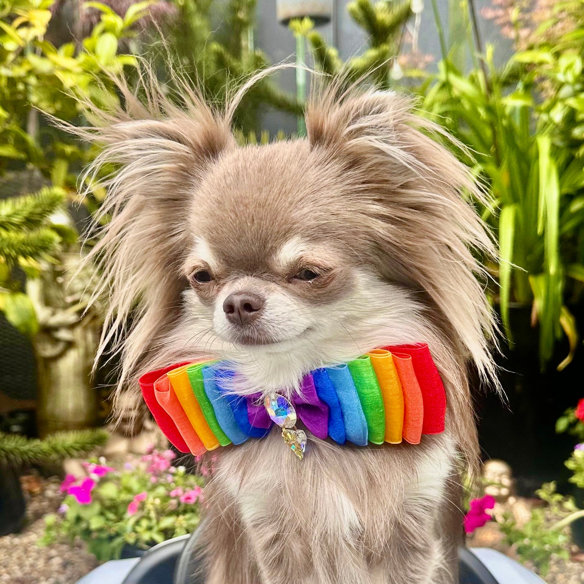 Rainbow Organza Pride Bow