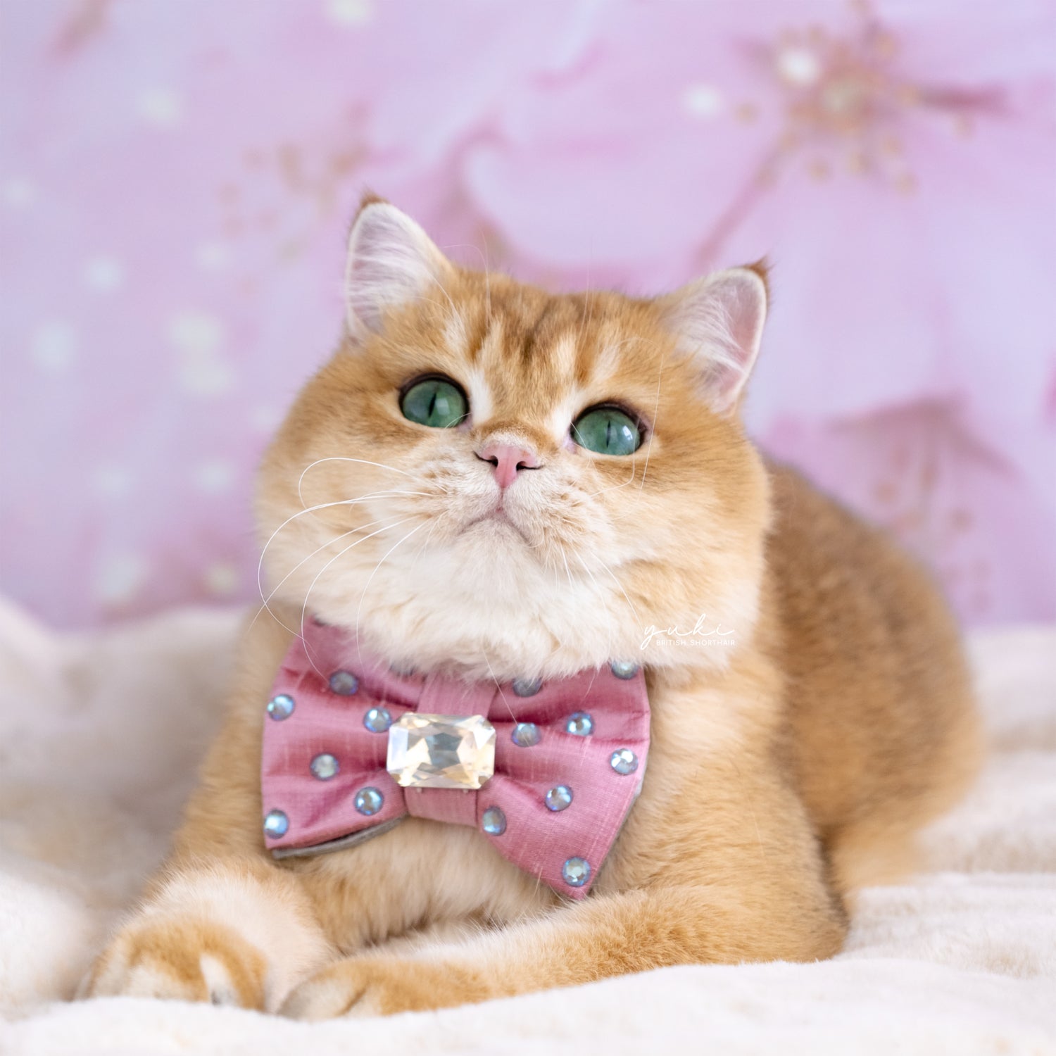 Reversible Bow ∙ Petite ∙ Pink/Silver