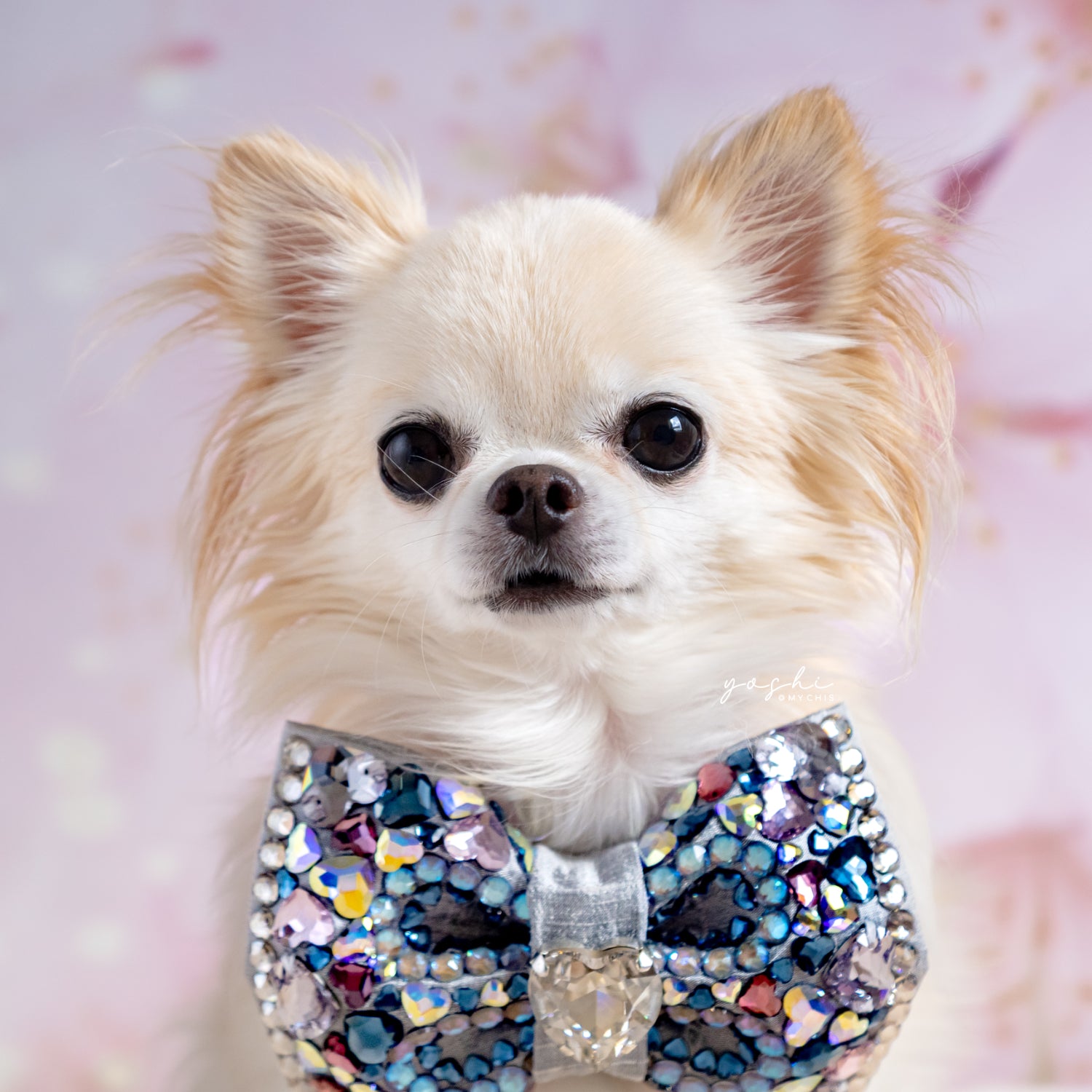 VIP Sweetheart Bow ∙ Medium ∙ Silver