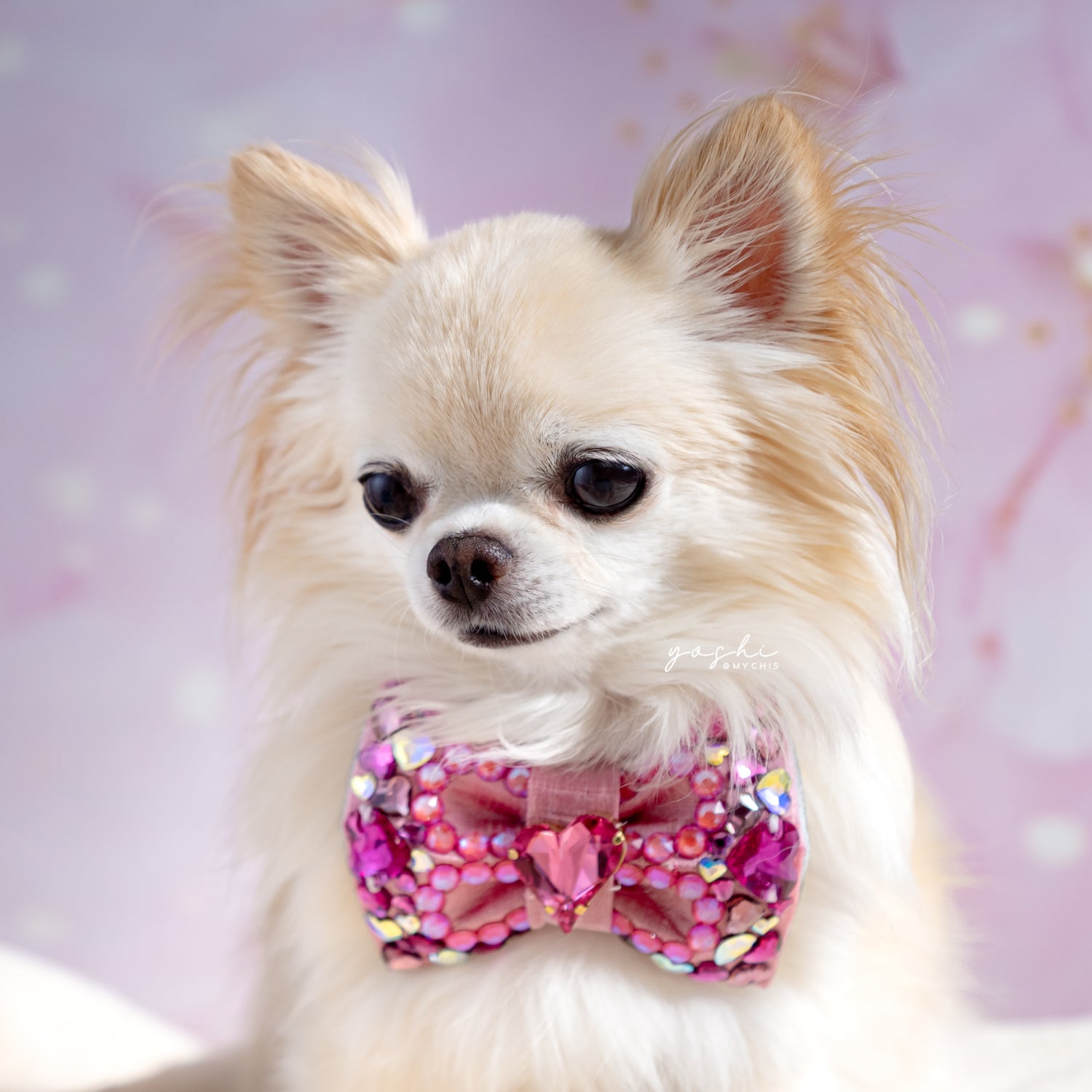 VIP Sweetheart Bow ∙ Petite ∙ Pink