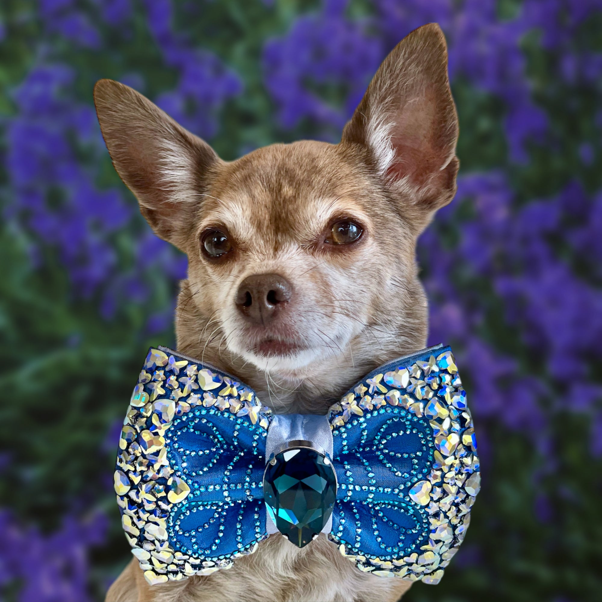 Bluebells VIP Bella Bellina Medium