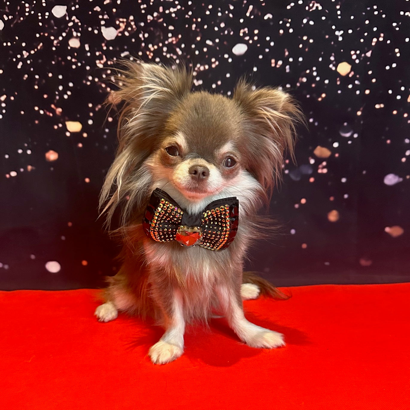 The Oscars VIP Monarch Bow, Petite