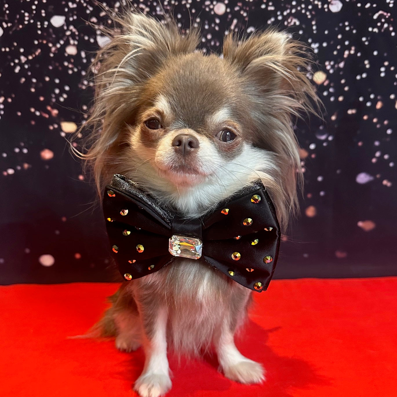 The Oscars Reversible Bejewelled Bow, Medium