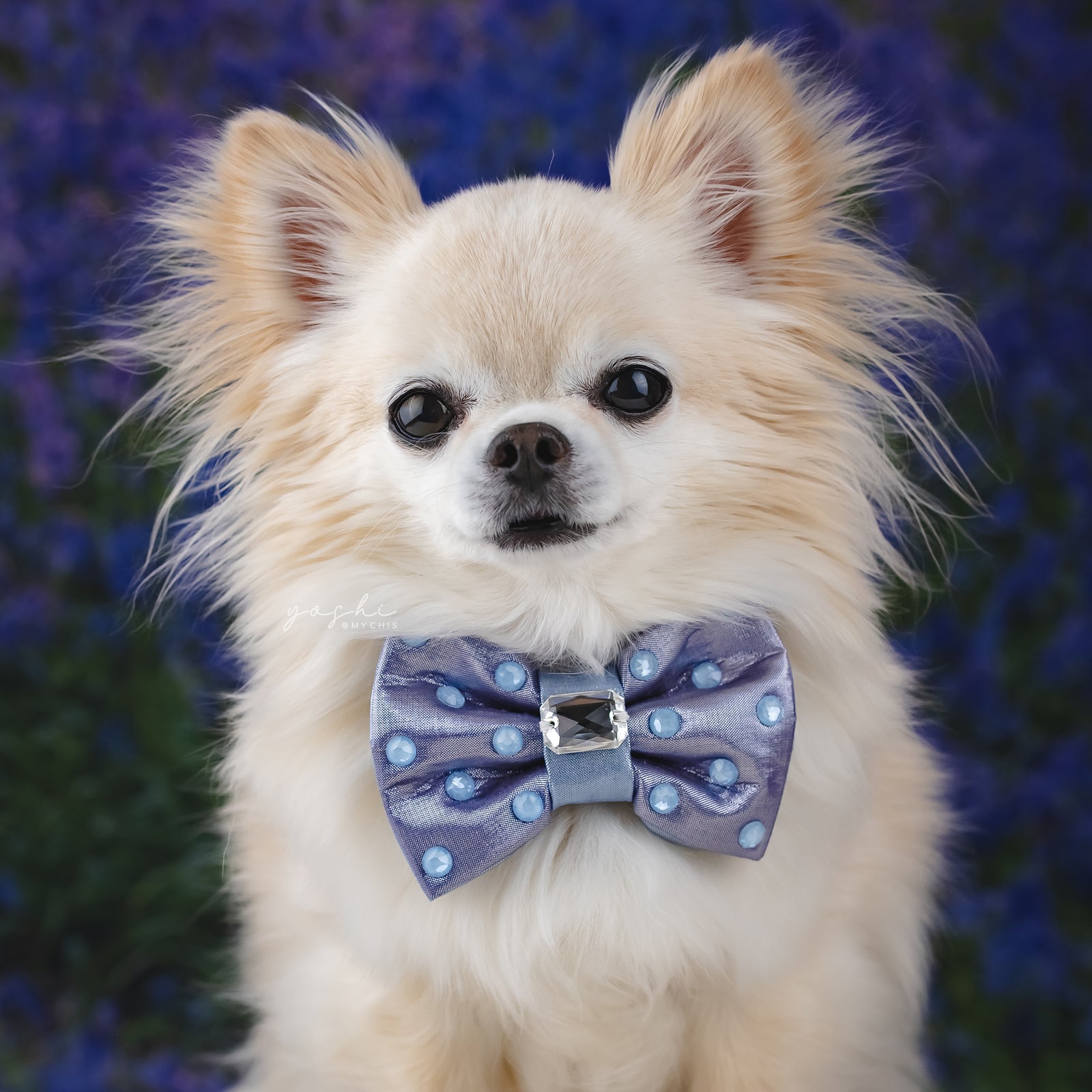 Bluebells Reversible Bejewelled Bow, Petite