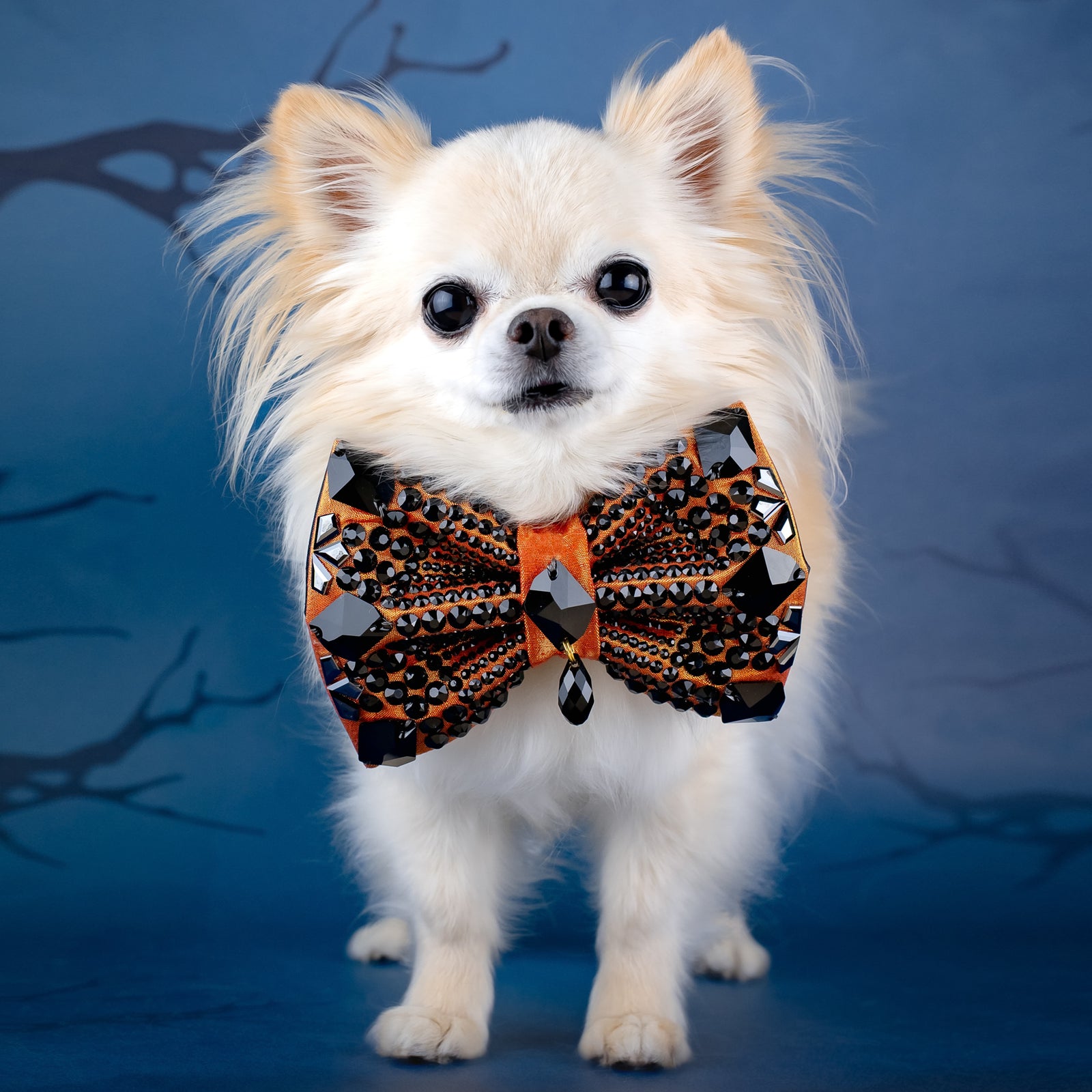 Spooktacular 2025 VIP Black Diamond Bow, Medium