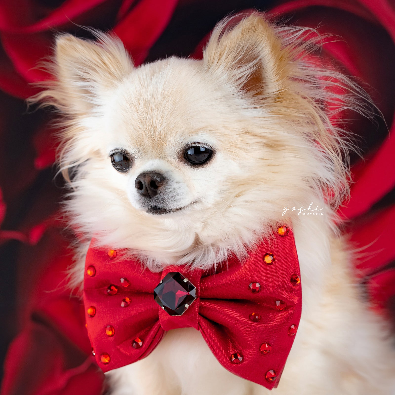 Ruby Rose Reversible Bejewelled Bow, Medium