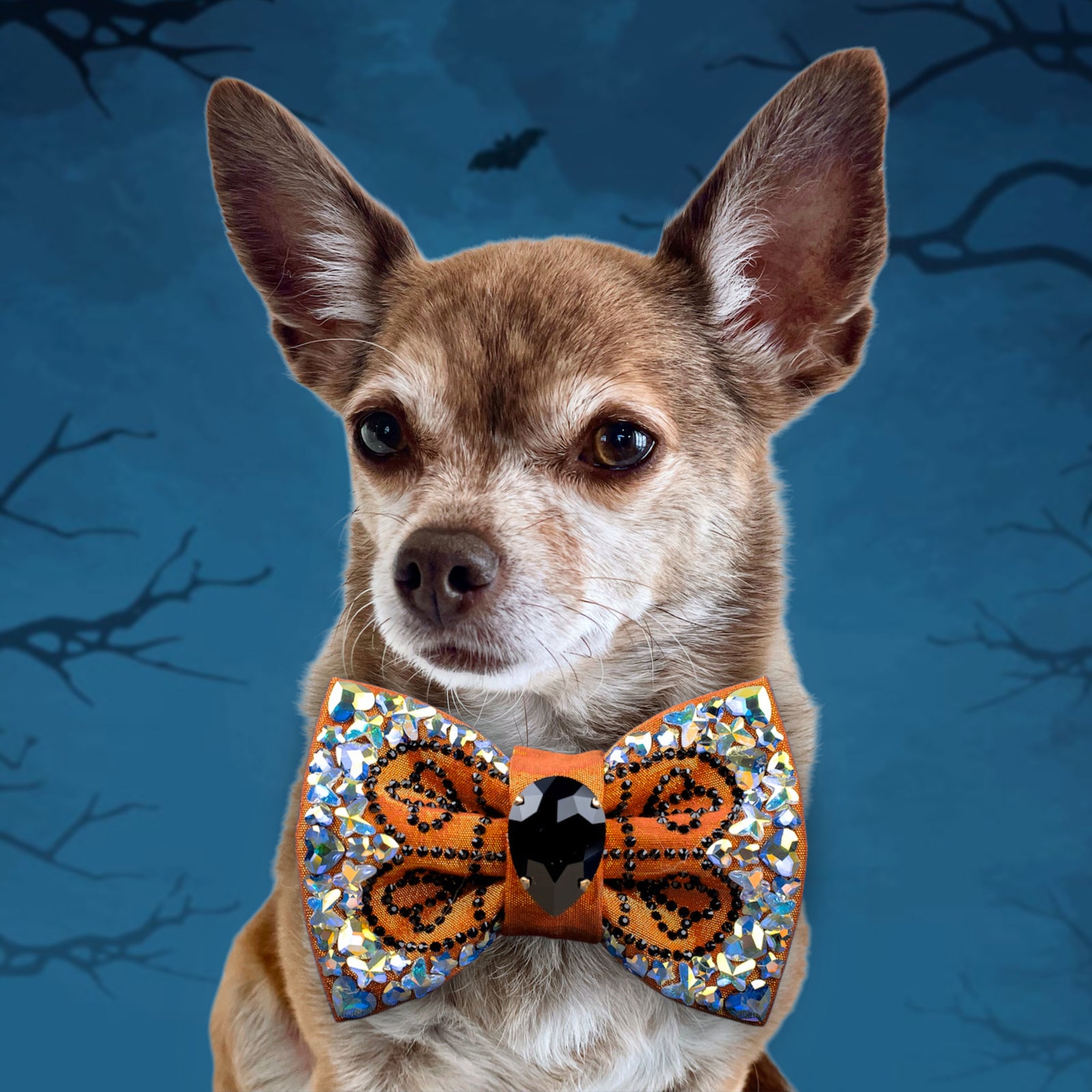 Spooktacular 2025 VIP Bella Bellina, Petite