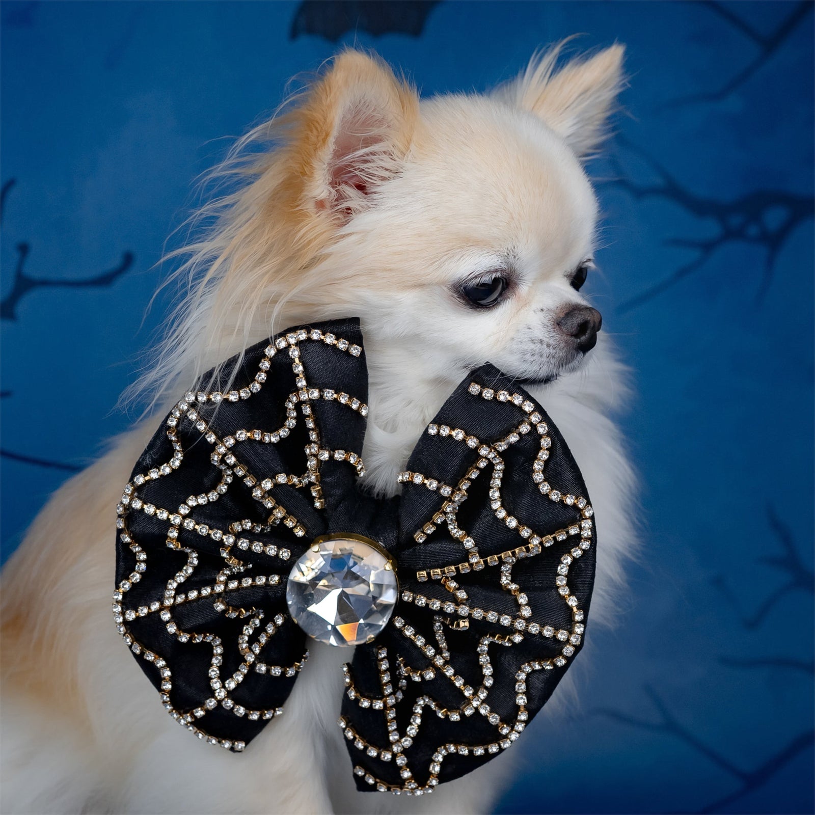 Spooktacular 2025 VIP Cobweb Bow, Medium