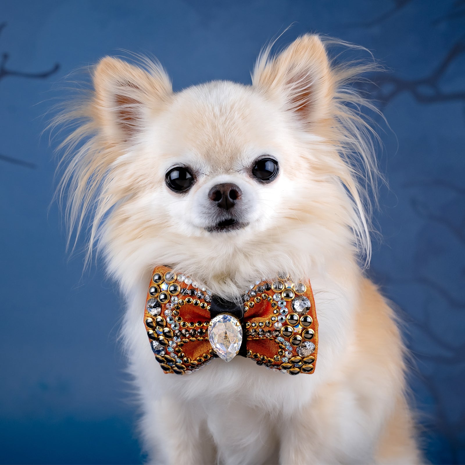 Spooktacular 2025 VIP Valentina Bow, Petite