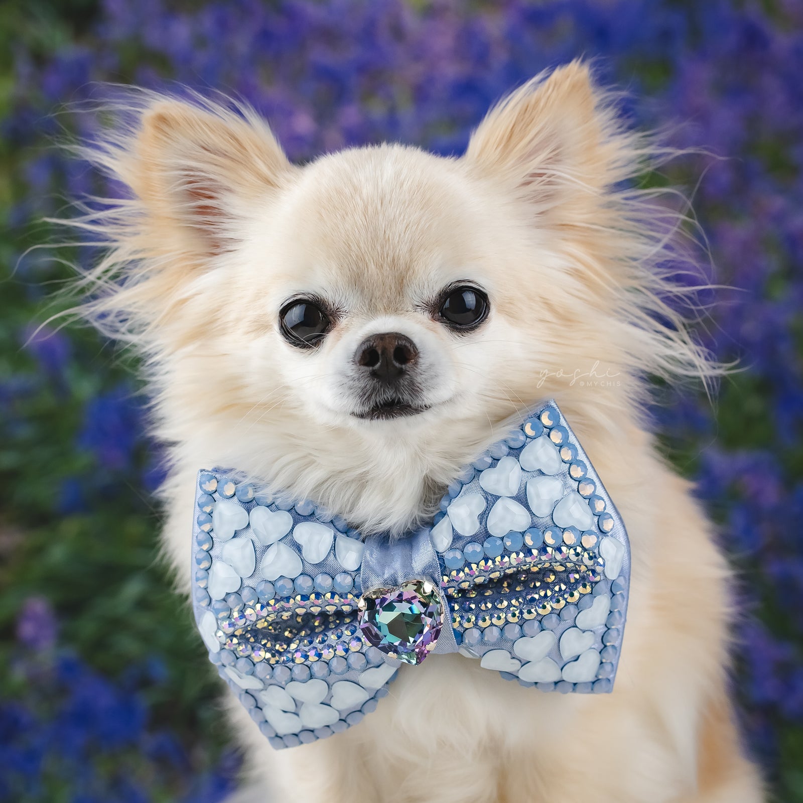 Bluebells Queen of Hearts VIP Bow, Medium