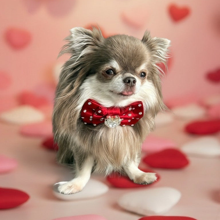 Little Willow Silk Puppy Love, Petite