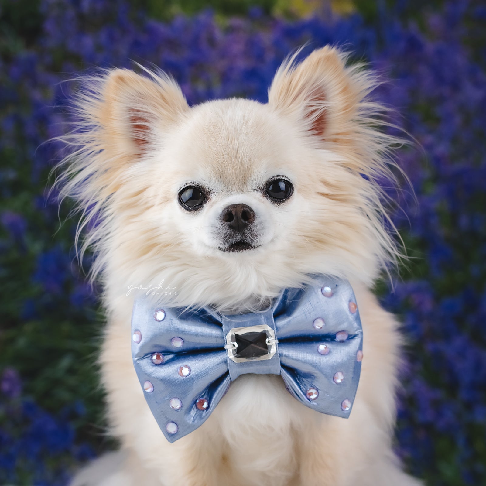 Bluebells Bejewelled Reversible Bow, Medium