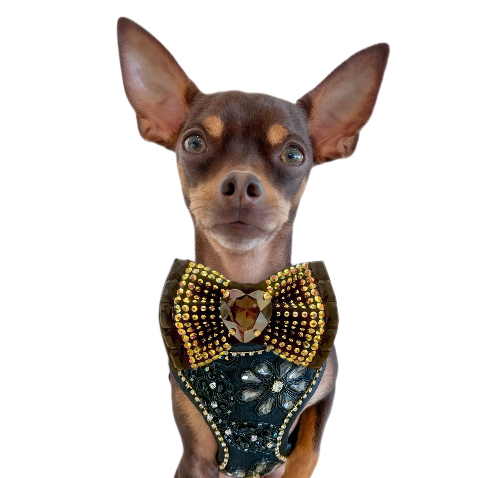 The Oscars VIP Monarch Bow, Petite