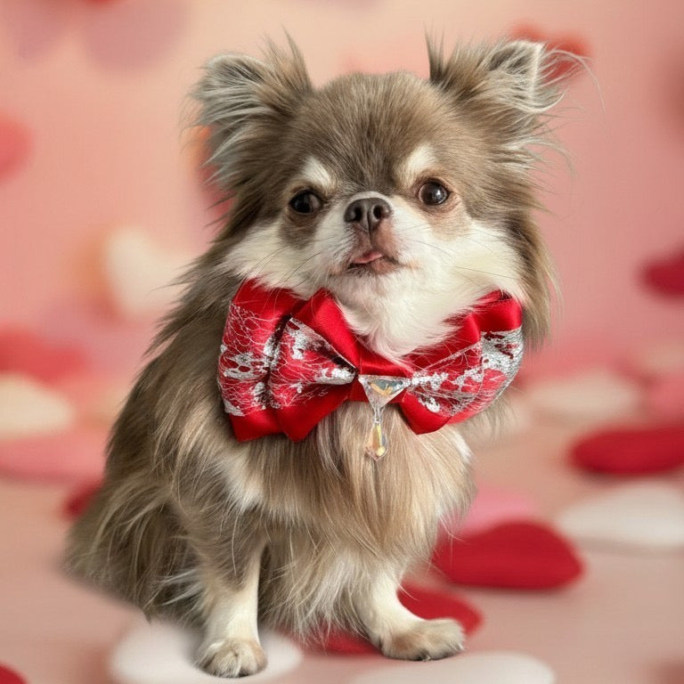 Little Willow Lace Puppy Love Bow, Medium