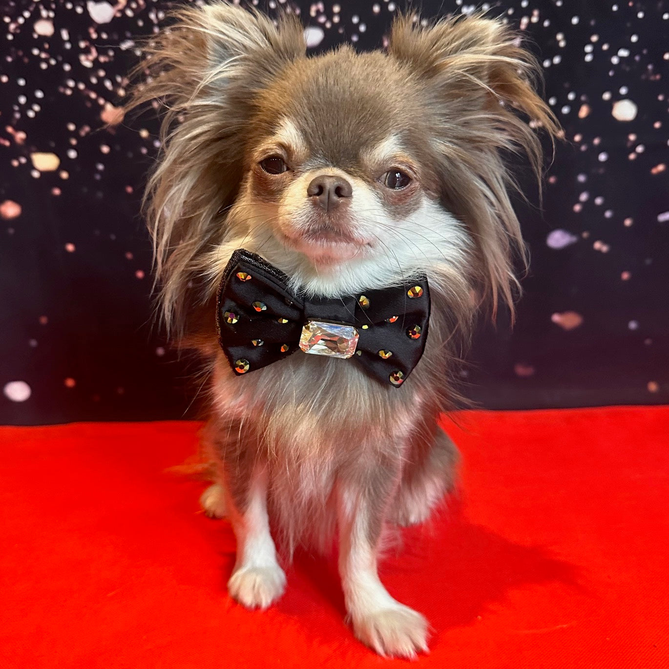 The Oscars Reversible Bejewelled Bow, Petite