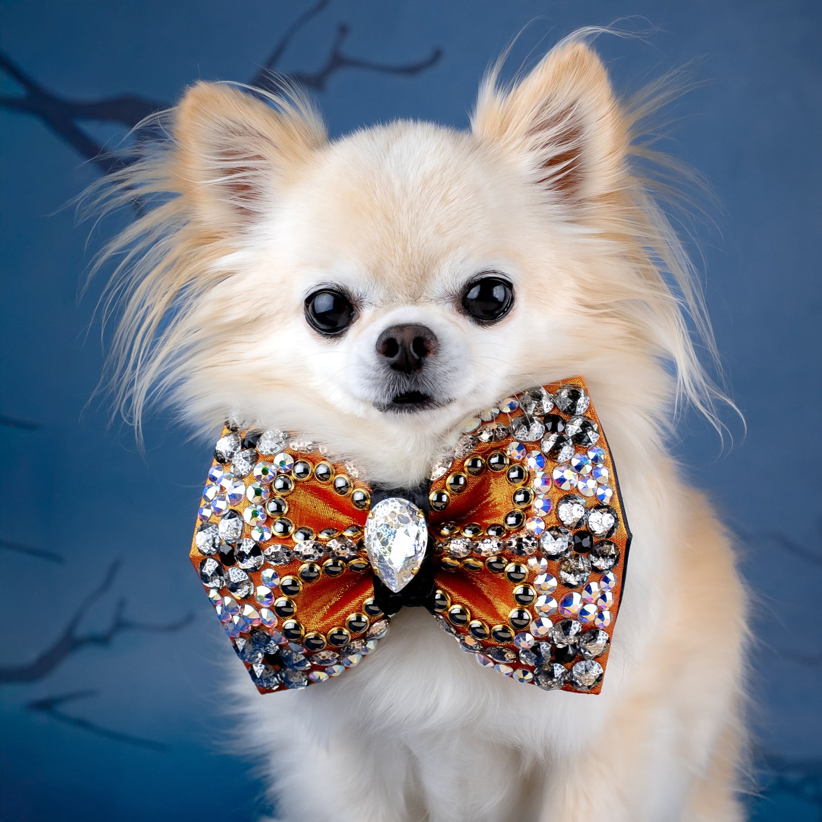 Spooktacular 2025 VIP Valentina Bow, Medium