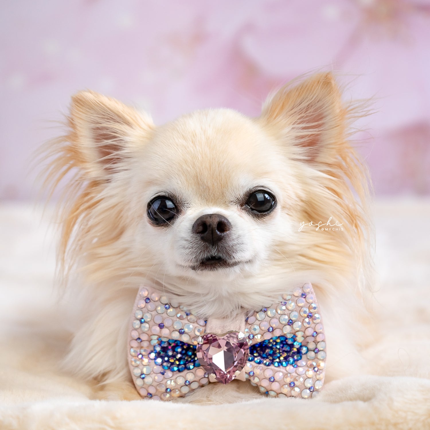 Geode Bow ∙ Petite ∙ Pink