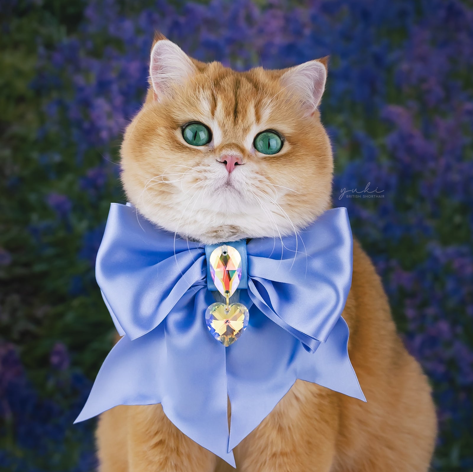 Bluebells Satin Tiffany Bow, Grand