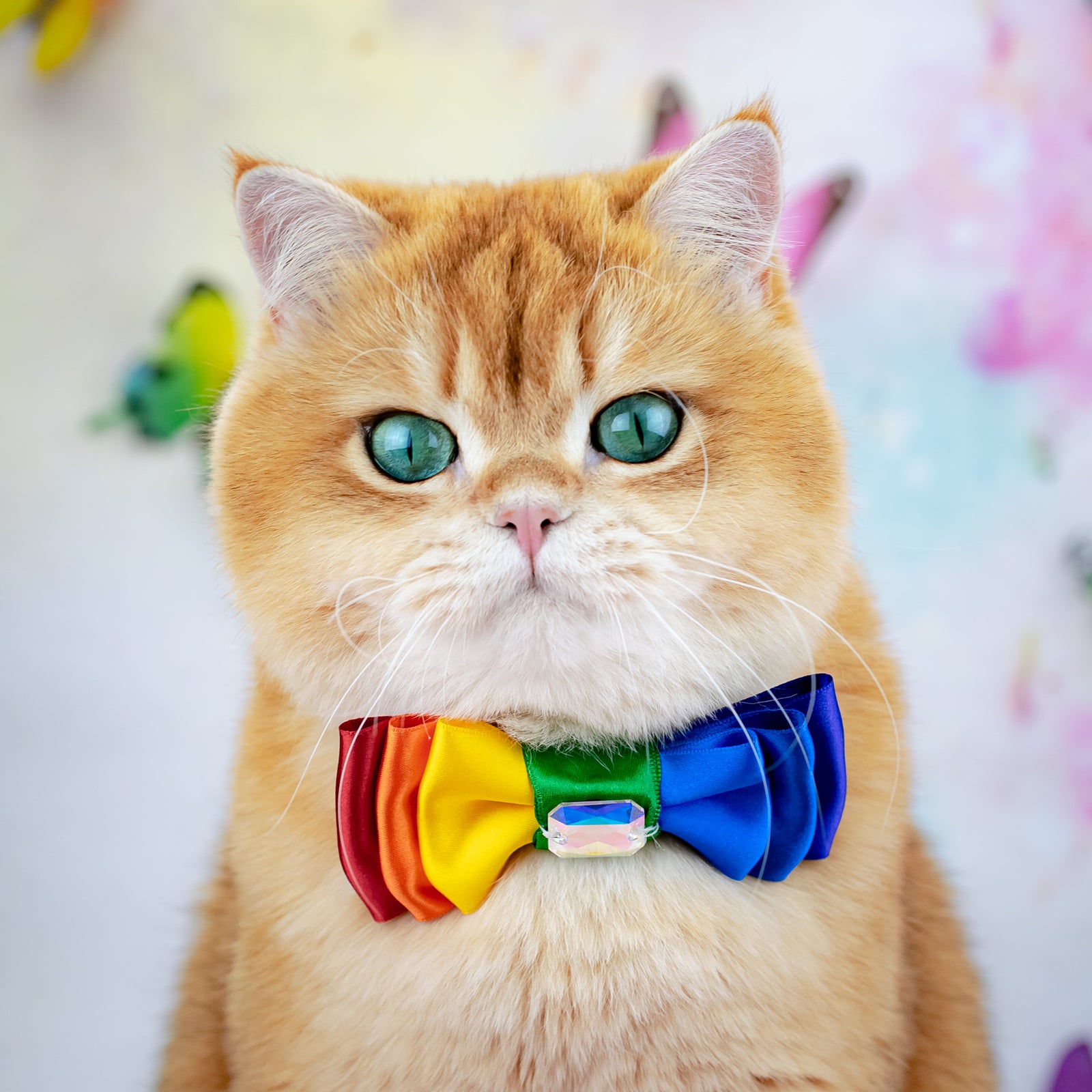 Pride 2026 Amara Bow, Petite