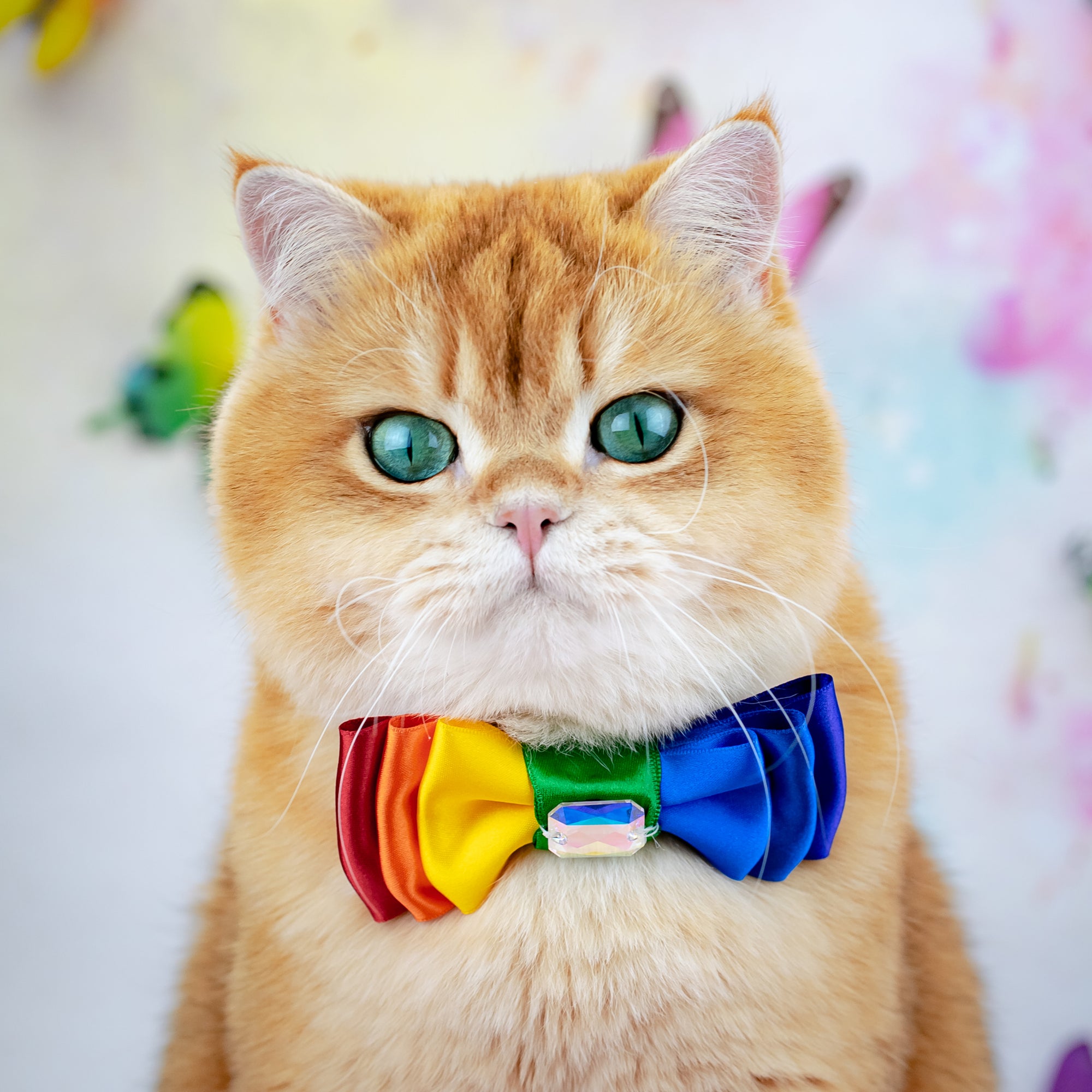 Pride 2025 Amara Bow, Petite