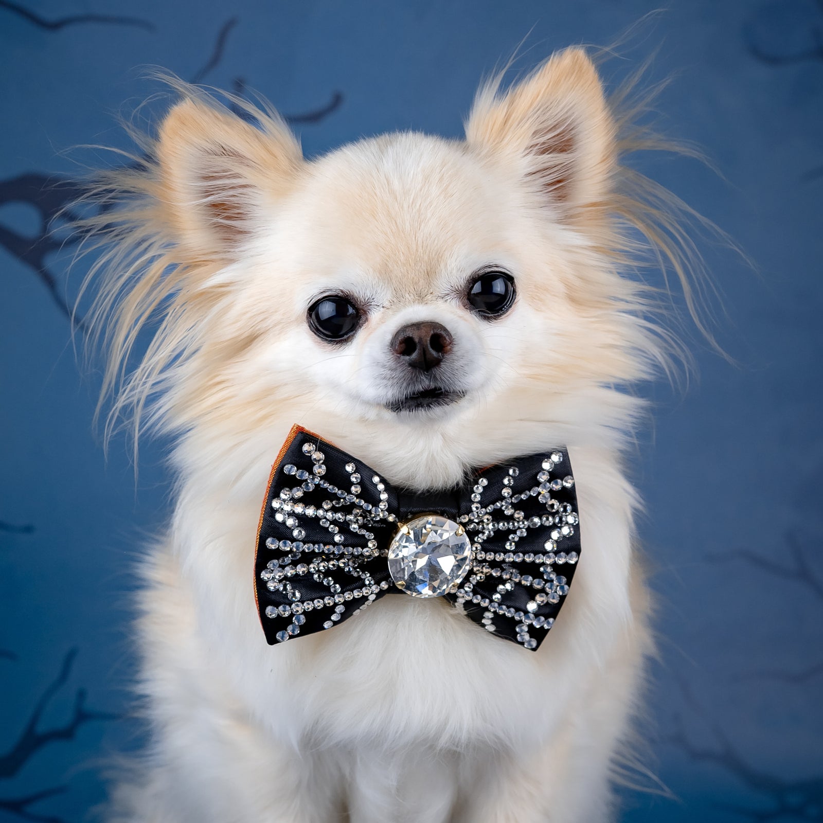 Spooktacular 2025 VIP Crystal Cobweb Bow, Petite