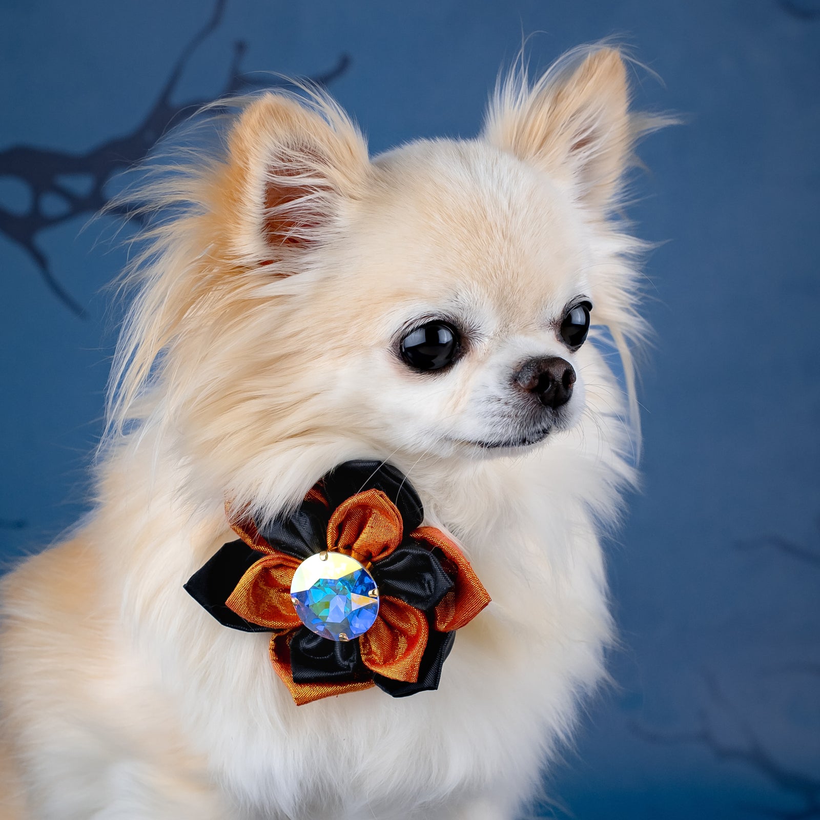 Spooktacular 2025 Hollywood Silk Rose, Petite