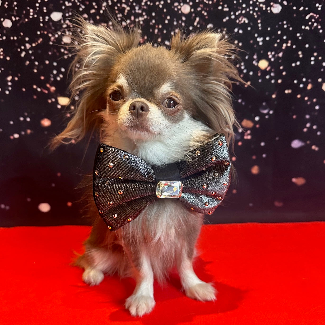 The Oscars Reversible Bejewelled Bow, Medium