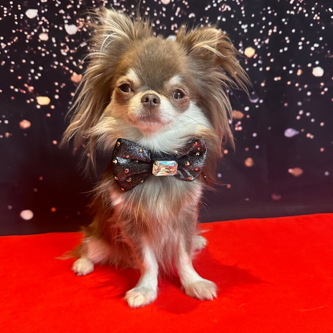 The Oscars Reversible Bejewelled Bow, Petite