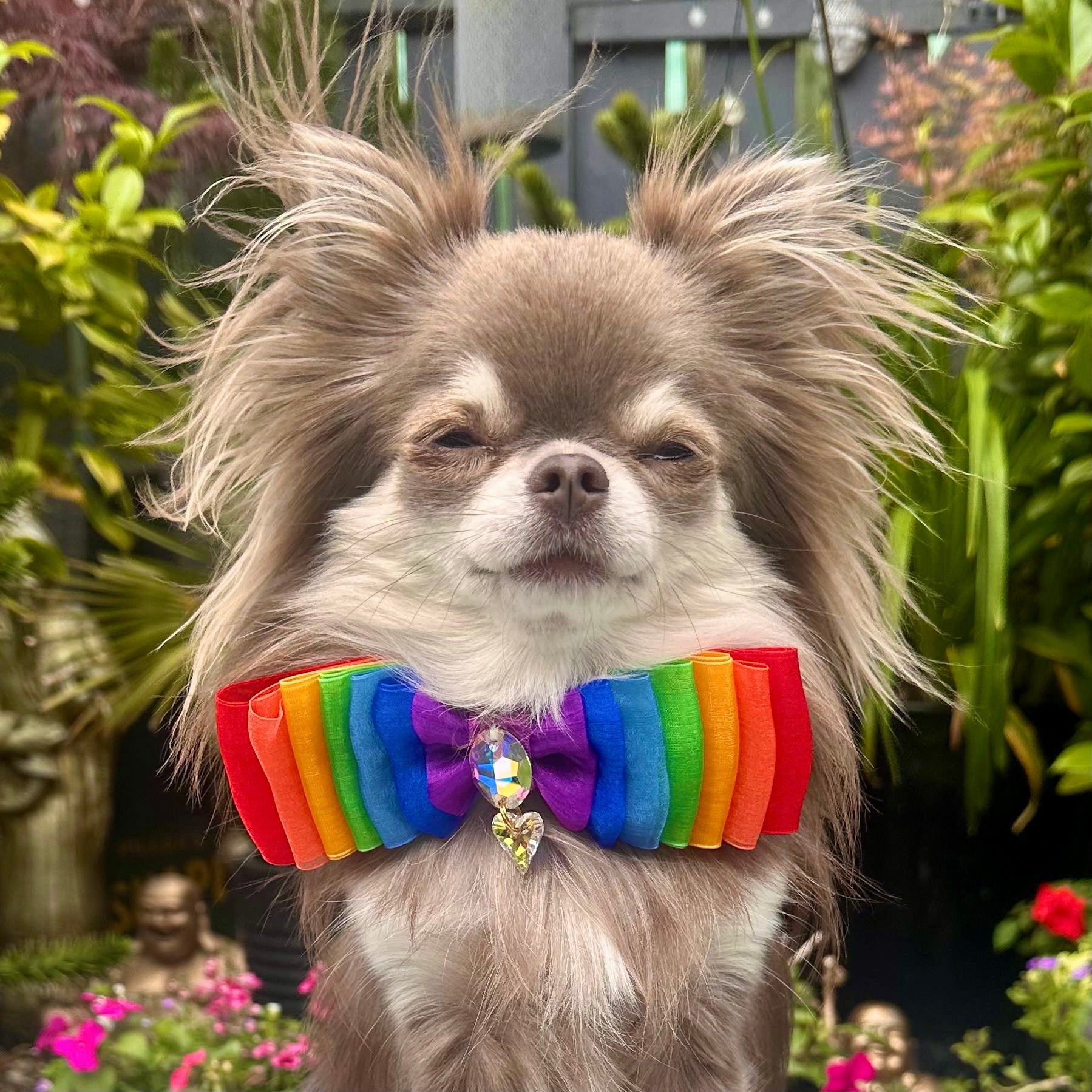 Rainbow Organza Pride Bow