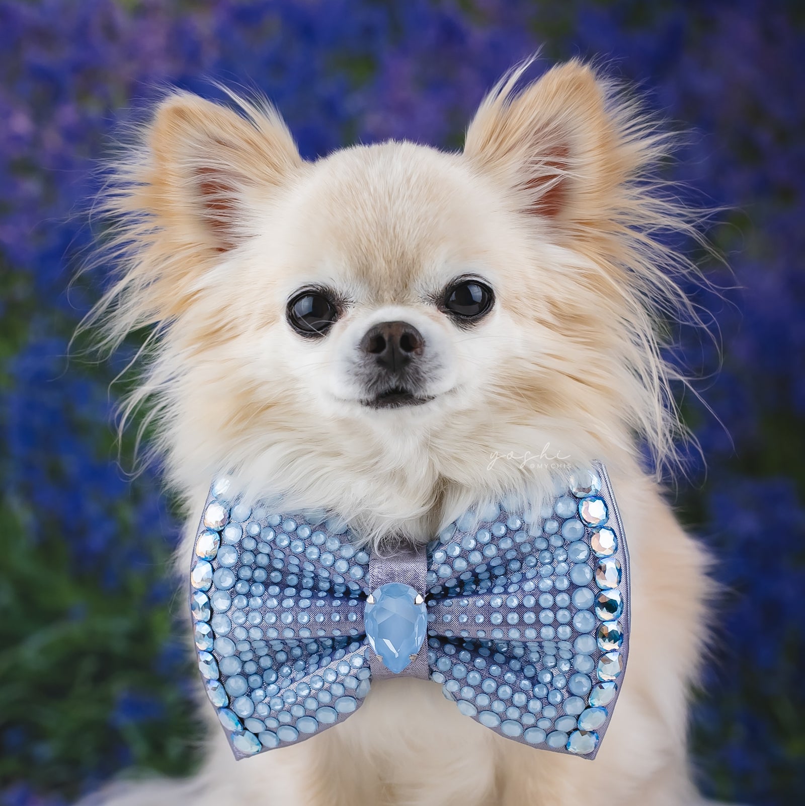 Bluebells VIP Monarch Bow, Lilac, Medium