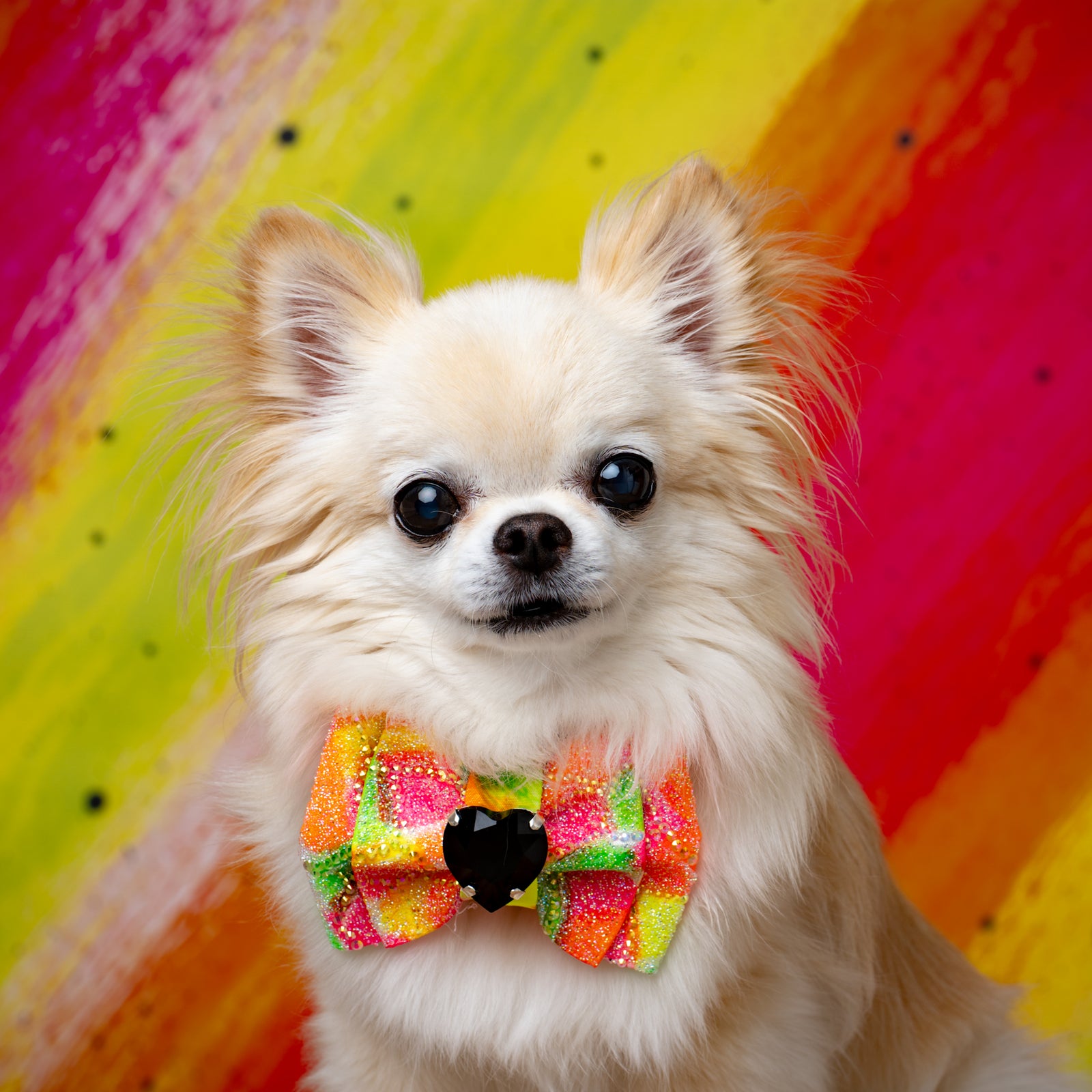 Neon Noir VIP Puppy Love, Petite