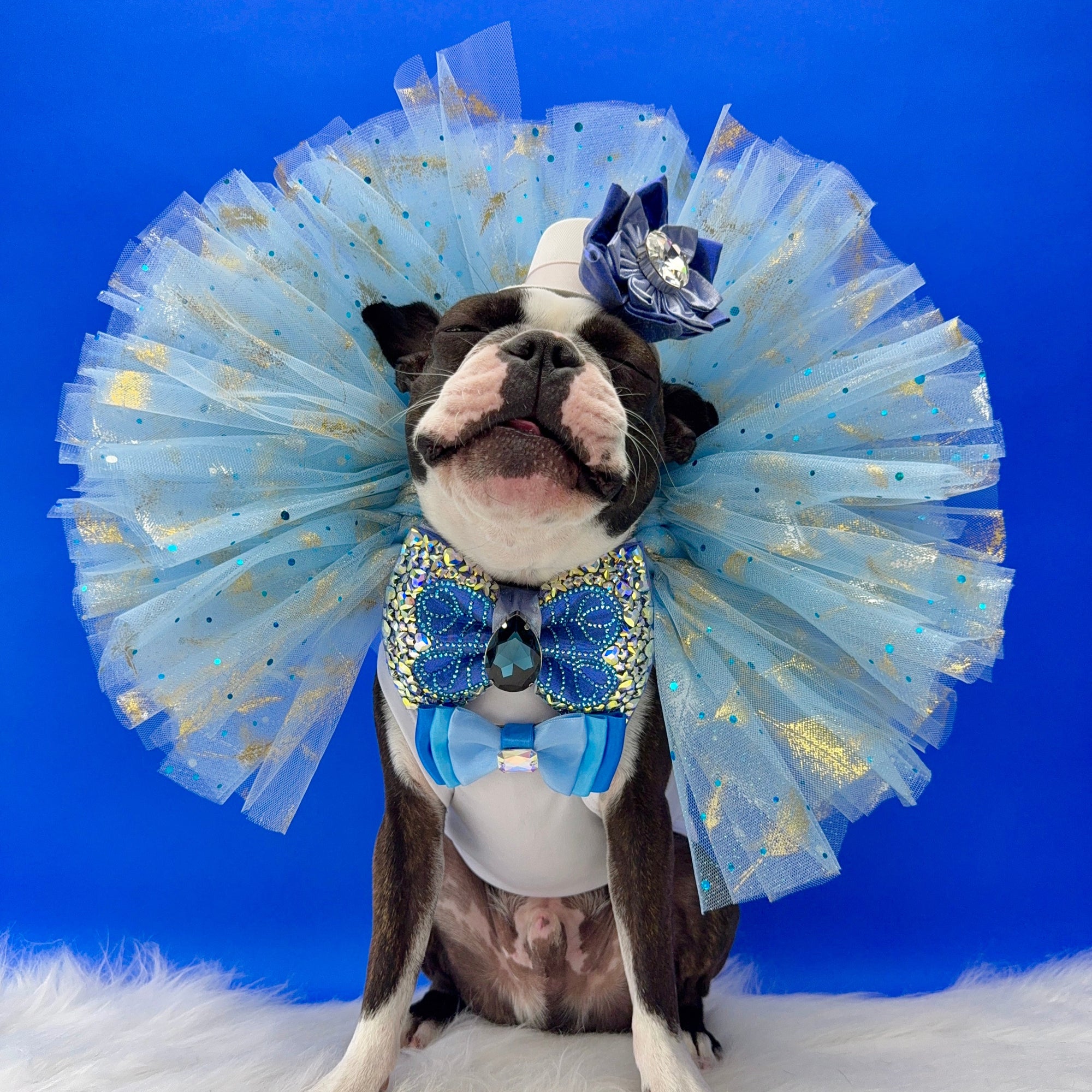 Bluebells Tutus