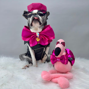Dog in stylish outfit with pink accessories and a plush flamingo toy on a white surface.