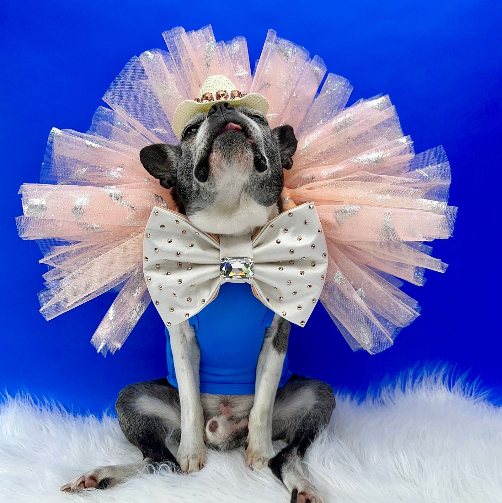 Peaches & Pearls Tutus