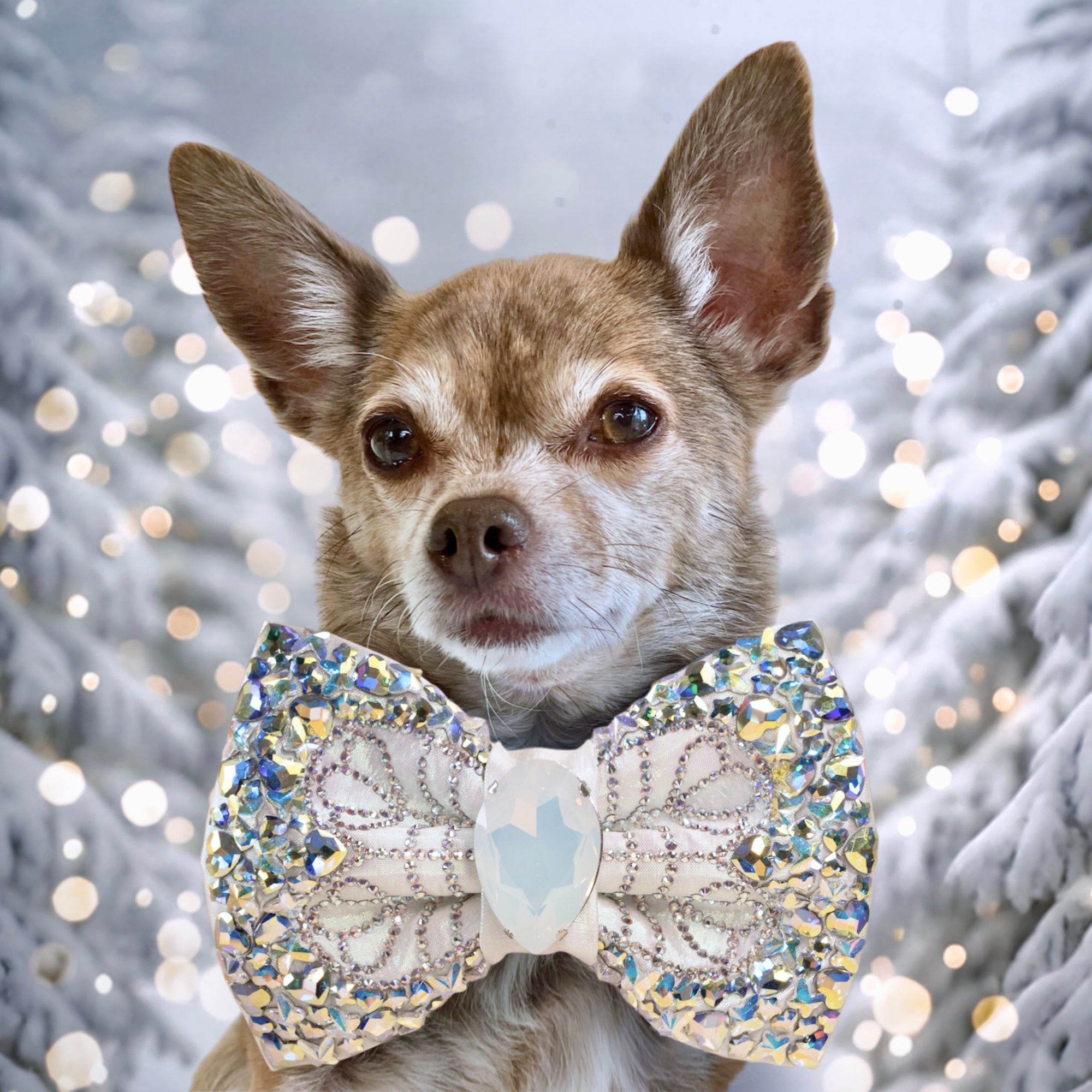 Let it Snow VIP Bella Bellina Medium