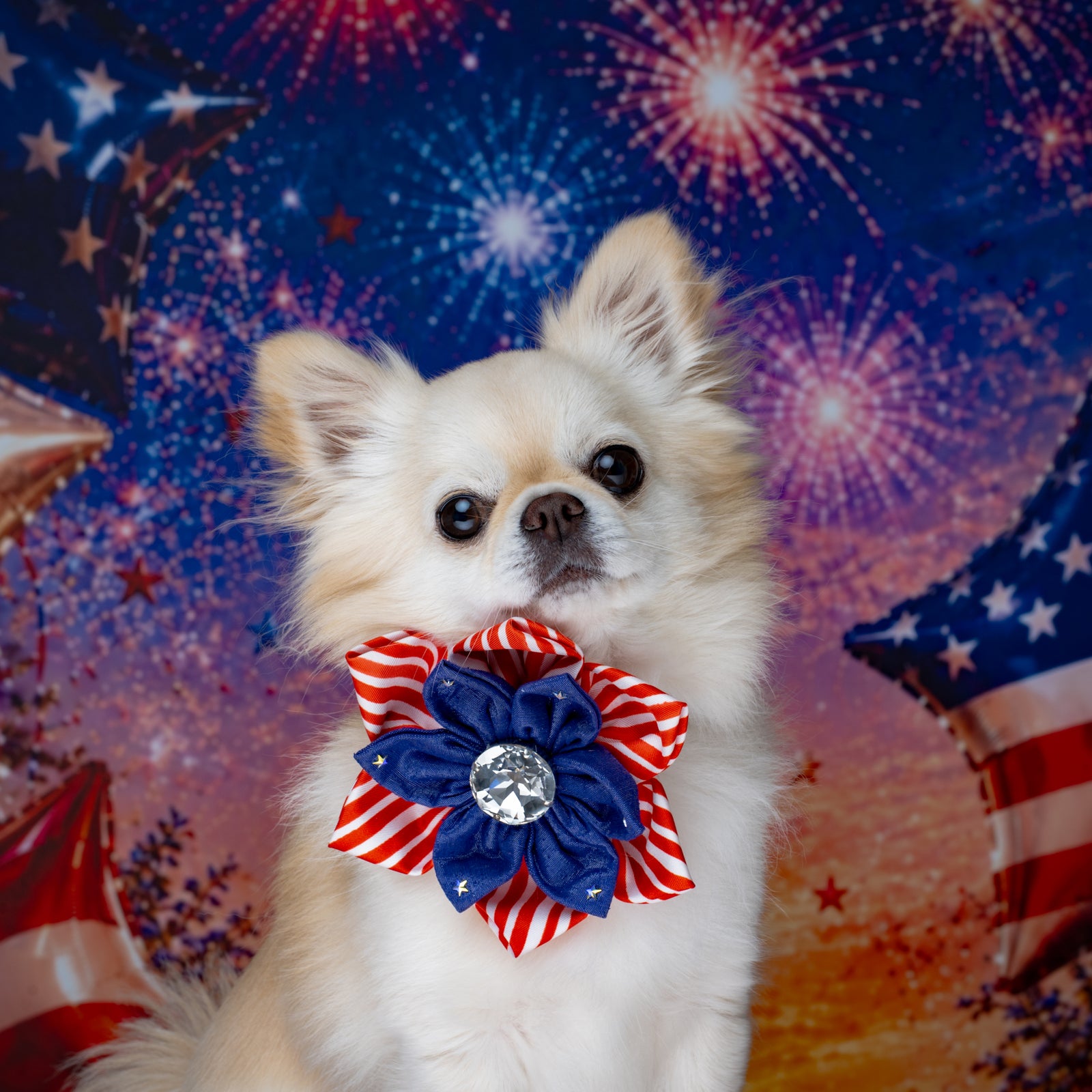 Independence Day Hollywood Silk Rose, Medium