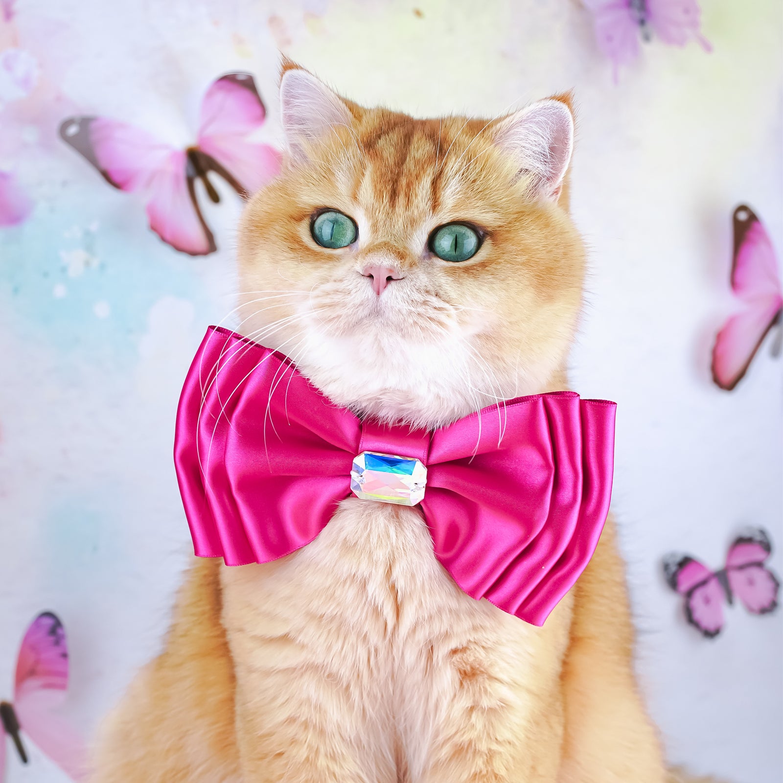 BCA Amara Bow, Medium