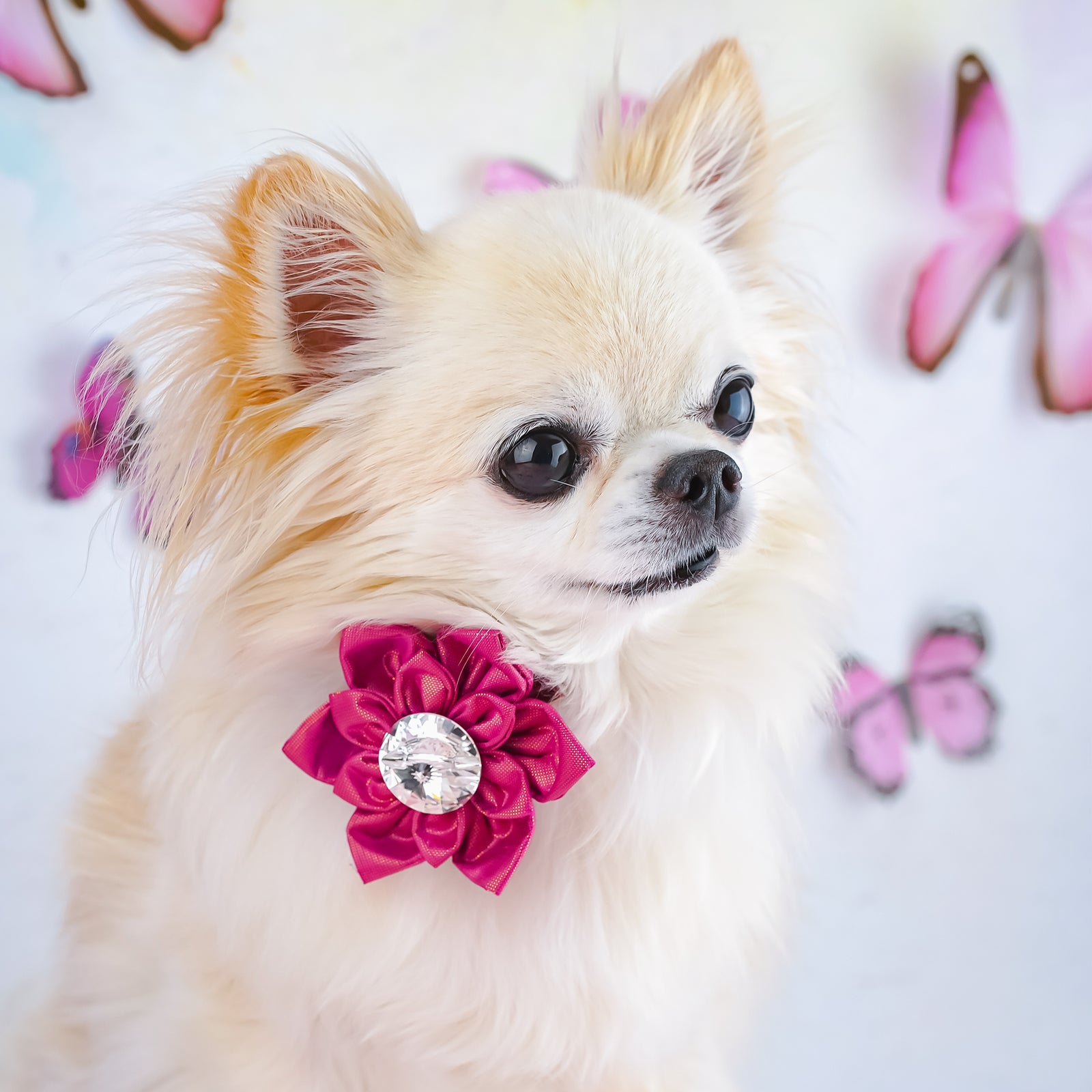 BCA Hollywood Silk Rose, Crocodile Clip