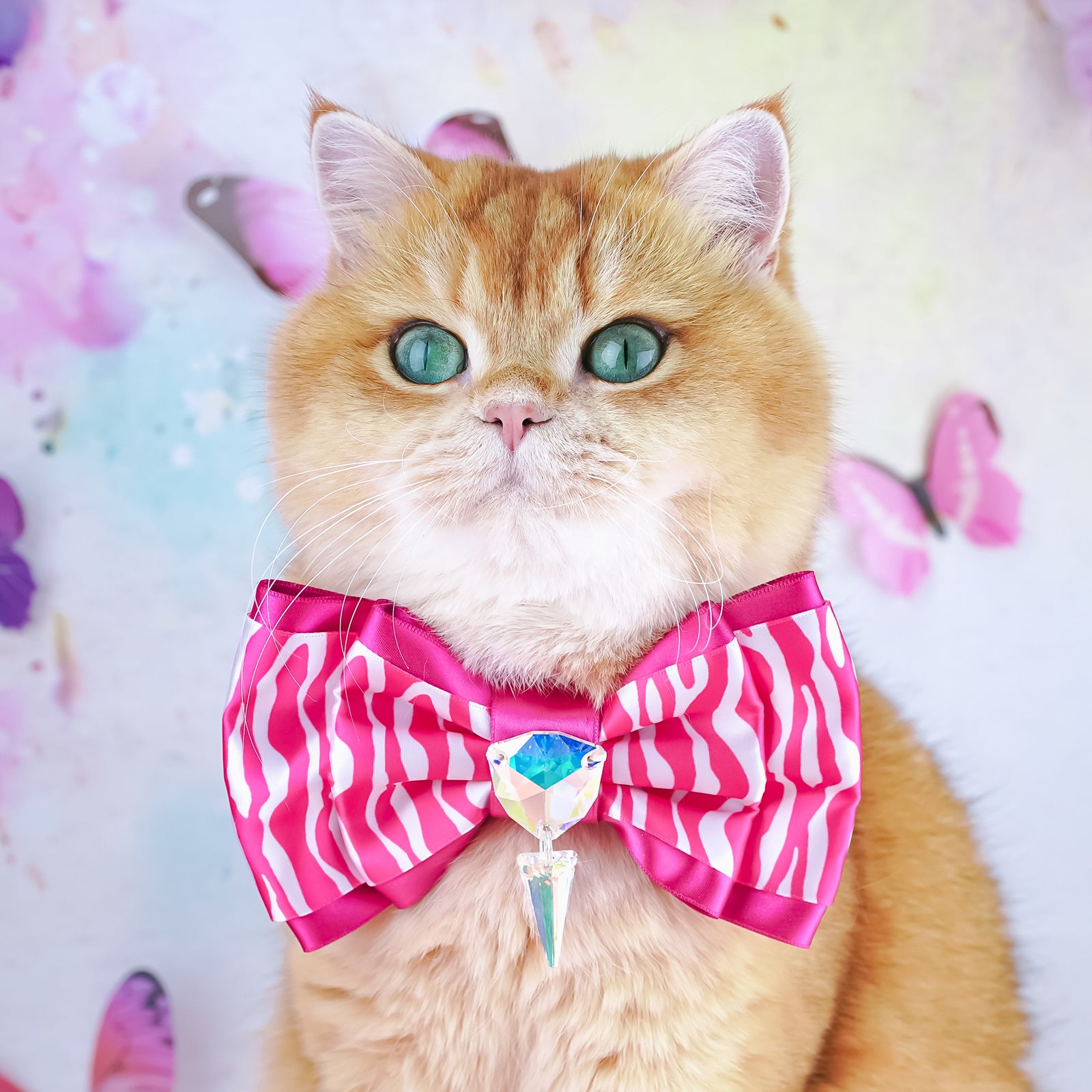 BCA Puppy Love Zebra Bow, Medium