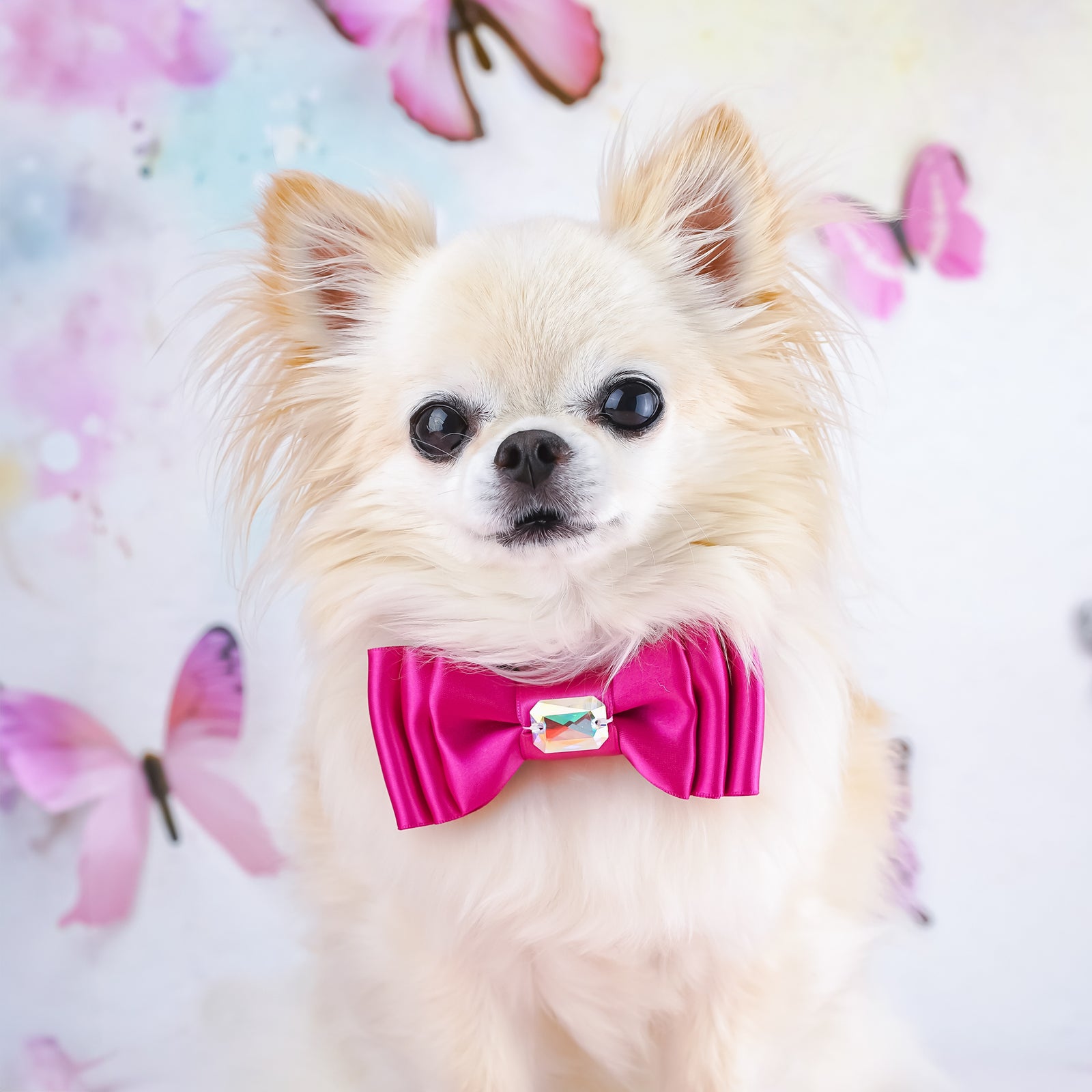 BCA Amara Bow, Petite